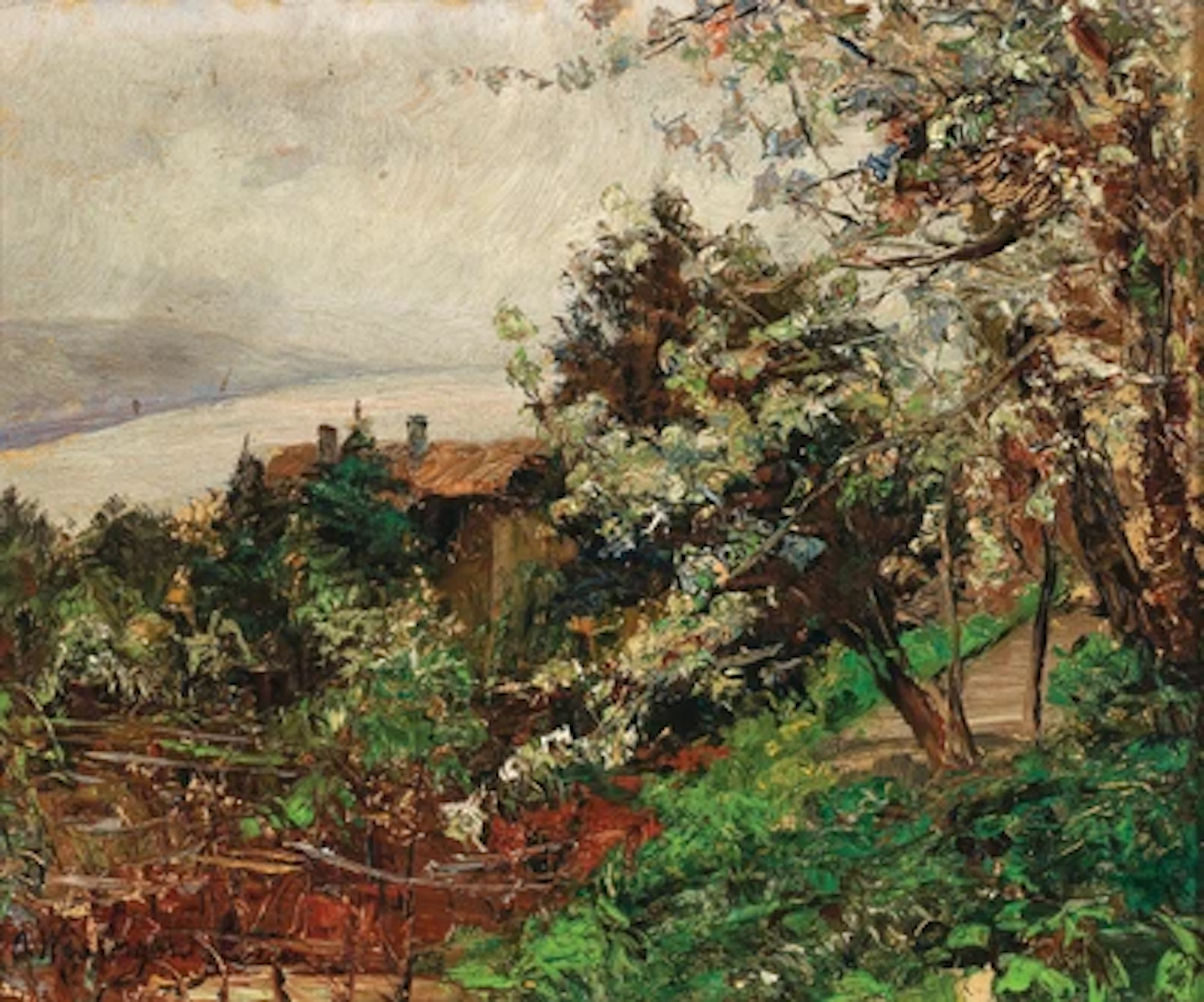 Olga Wisinger-Florian