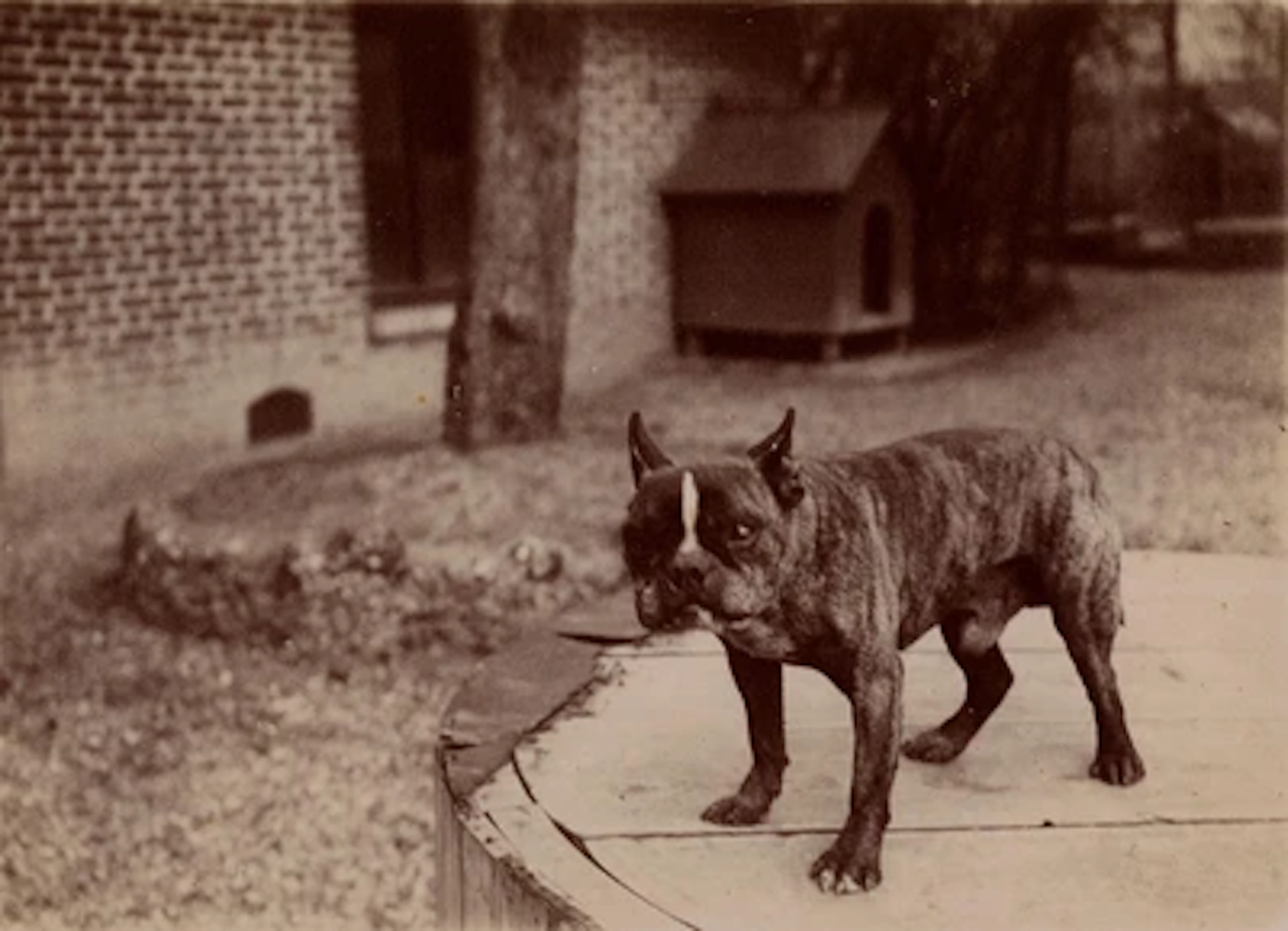 Emile Zola
