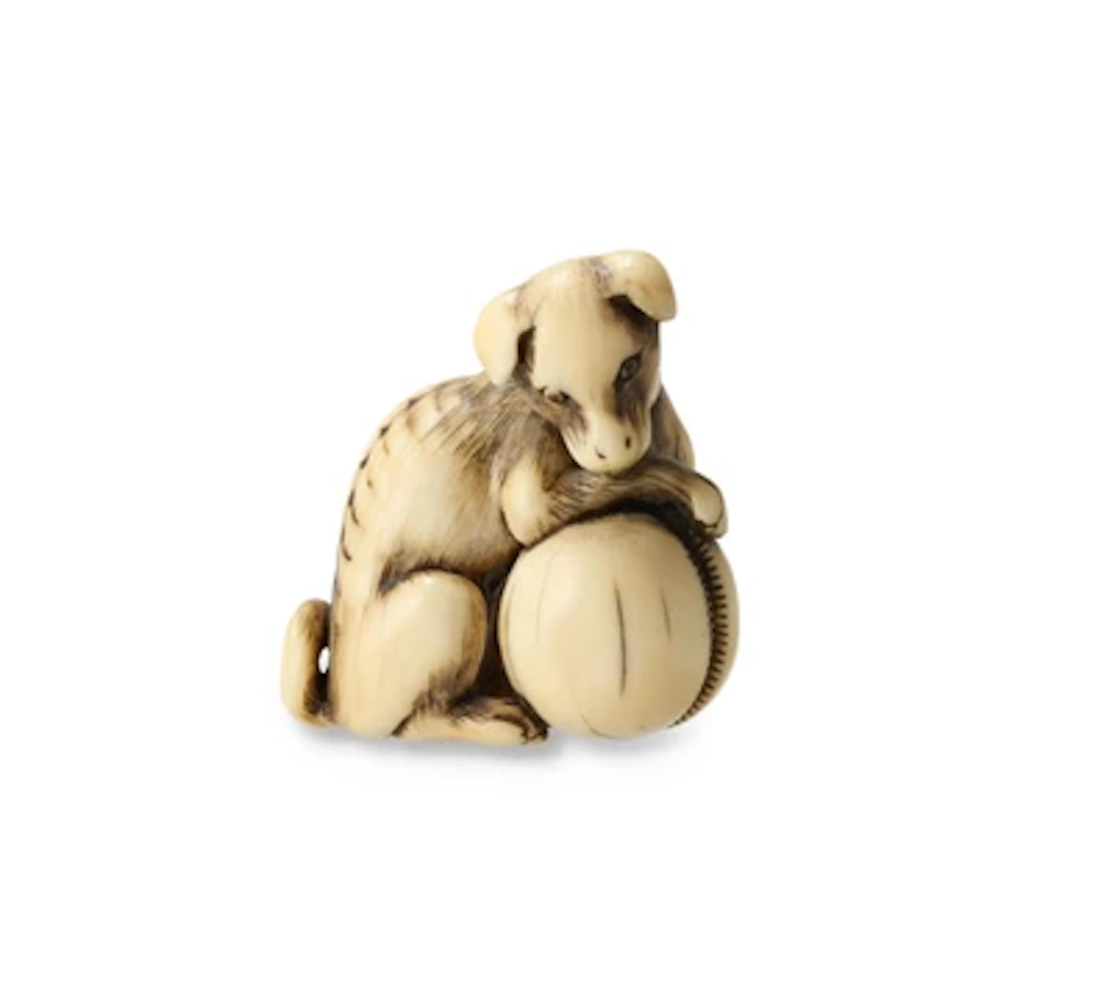 Netsuke eines Hundes mit Ball, Japan, 19. Jh., signiert Tomotada