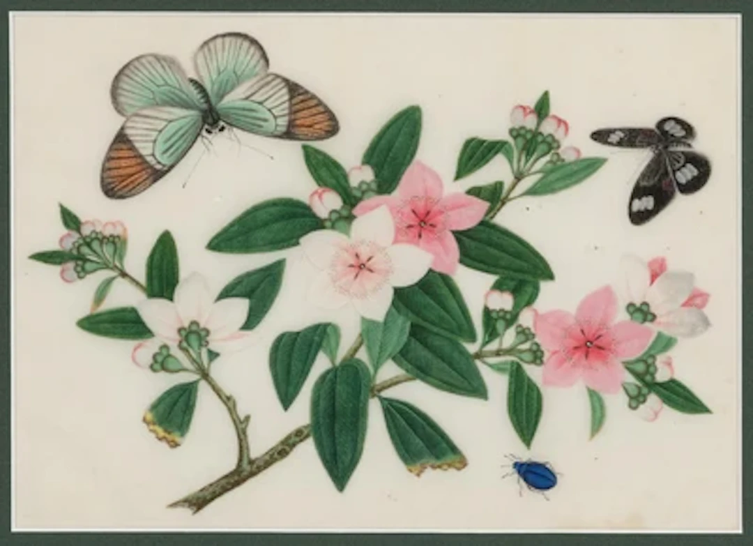 China, 19./20. Jh., Two Butterflies, an insect with roses