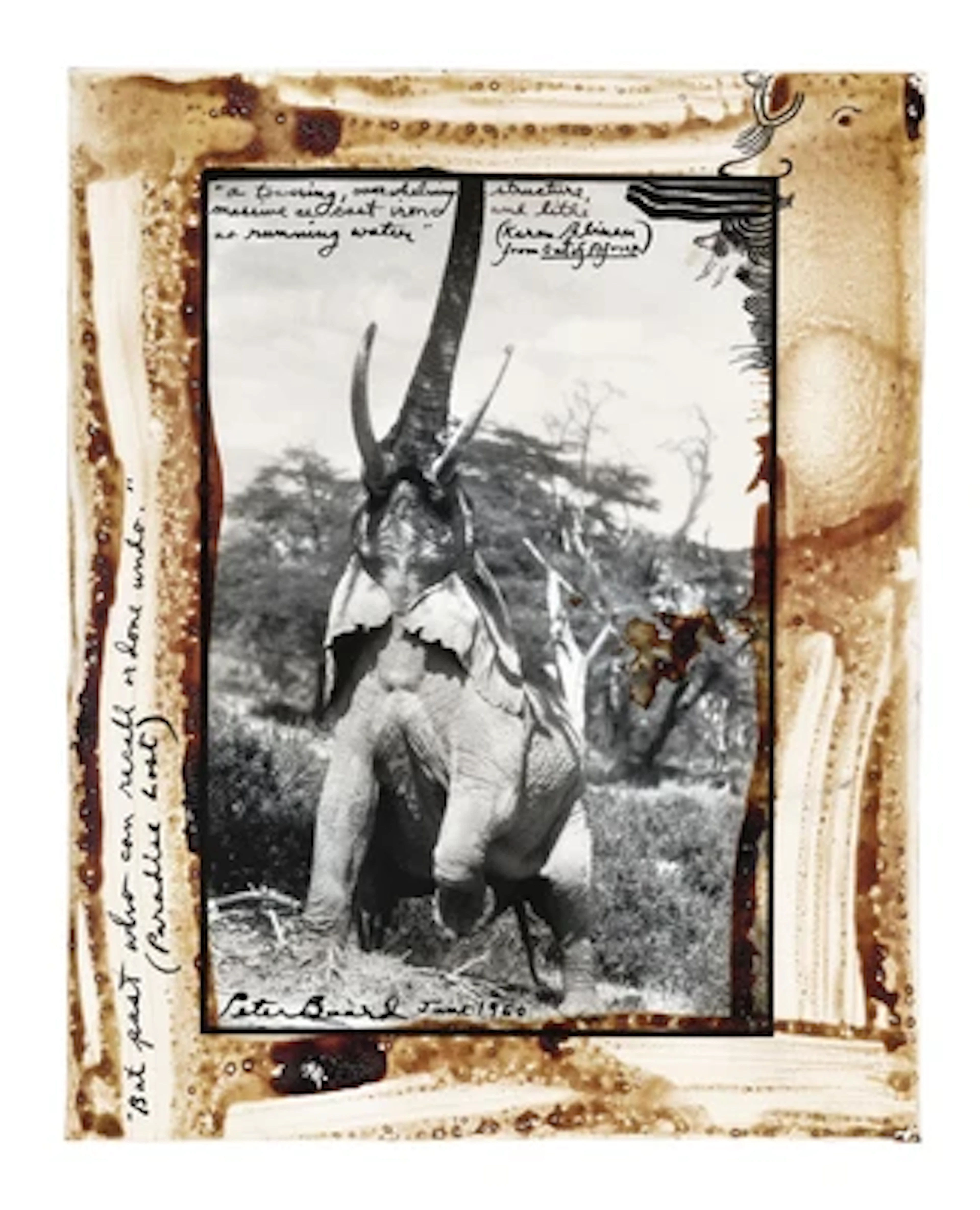 Peter Beard