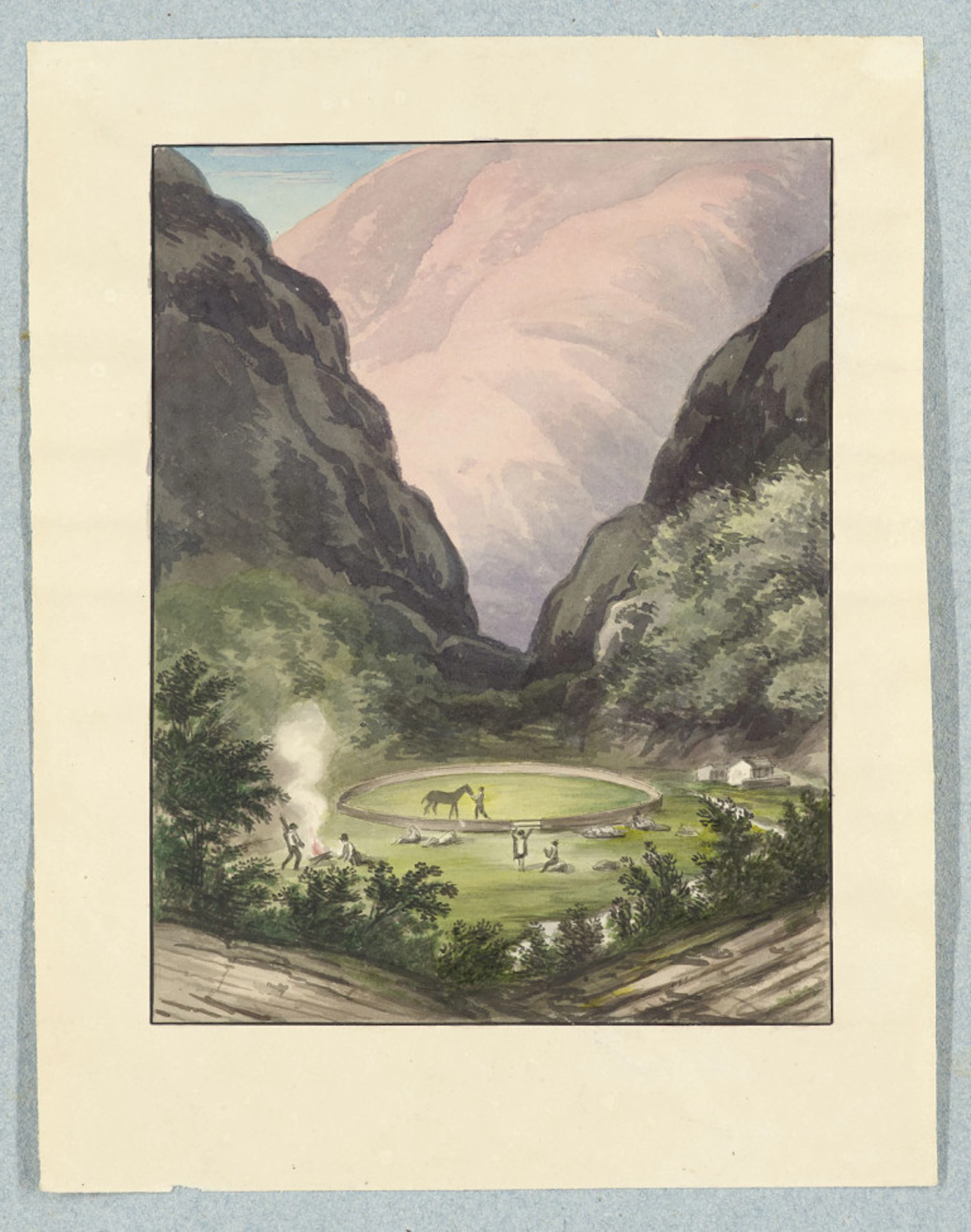 Carl Fr. Ph. von Martius. Sammlung von 19 …