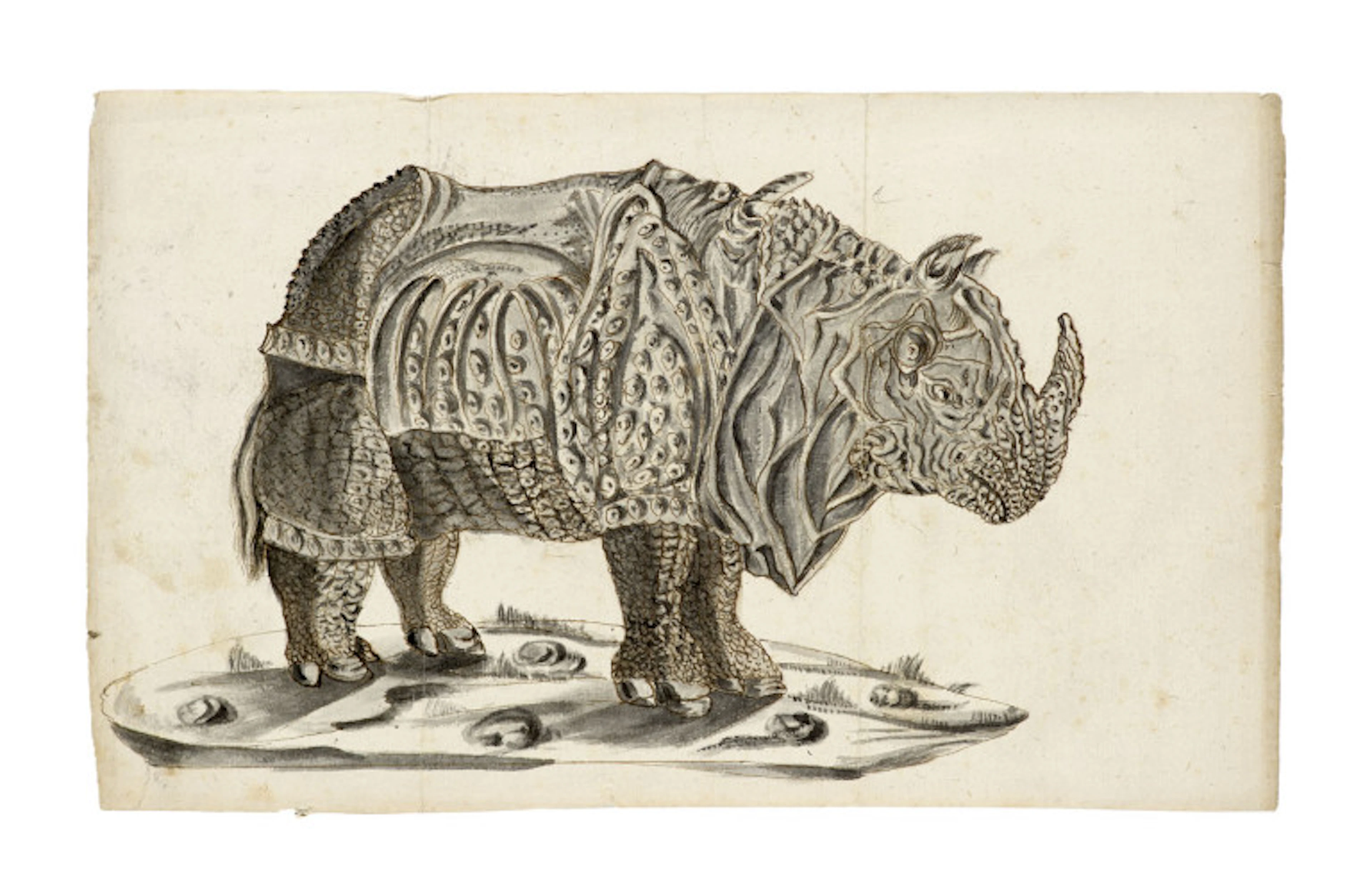 Nach Albrecht Dürer. Zeichnung des "Rhinocerus". …