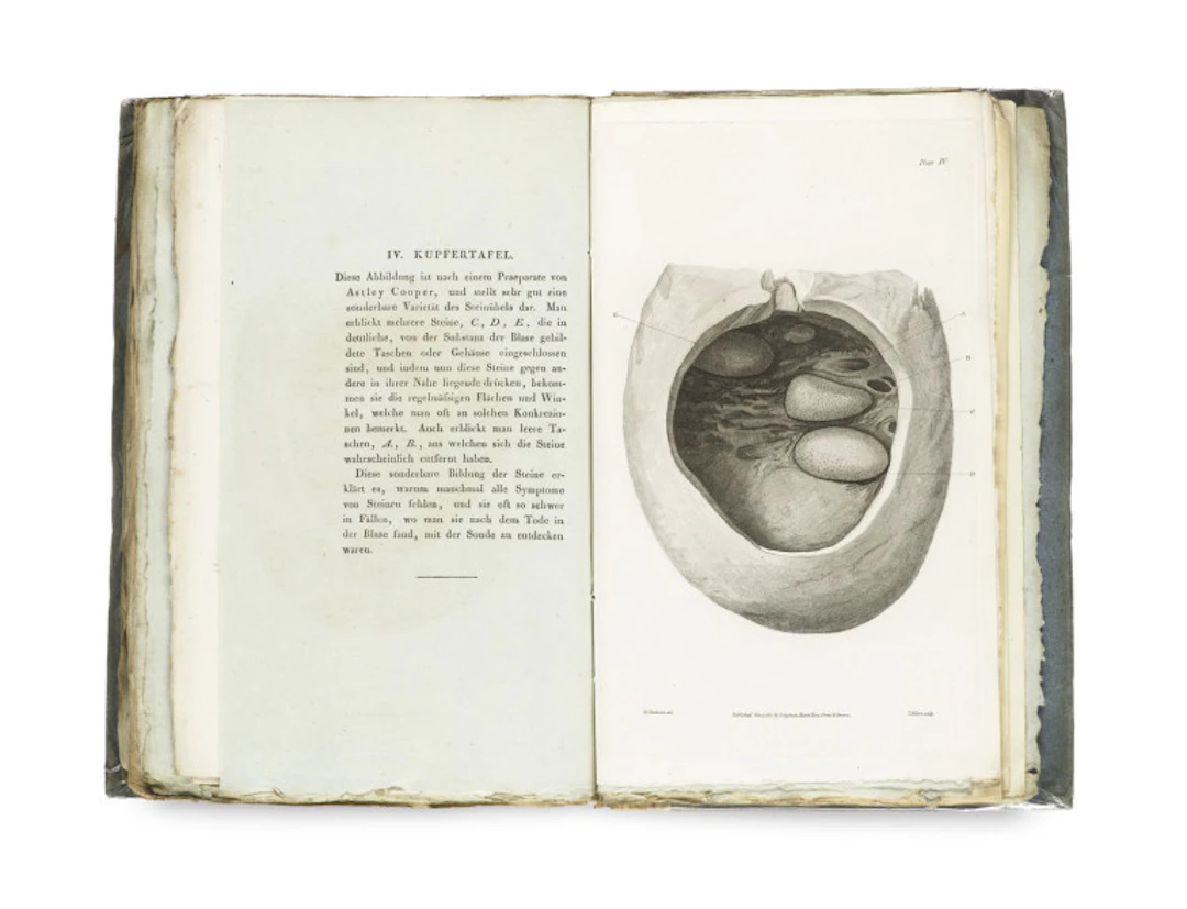Alexander Marcet. Versuch einer chemischen …