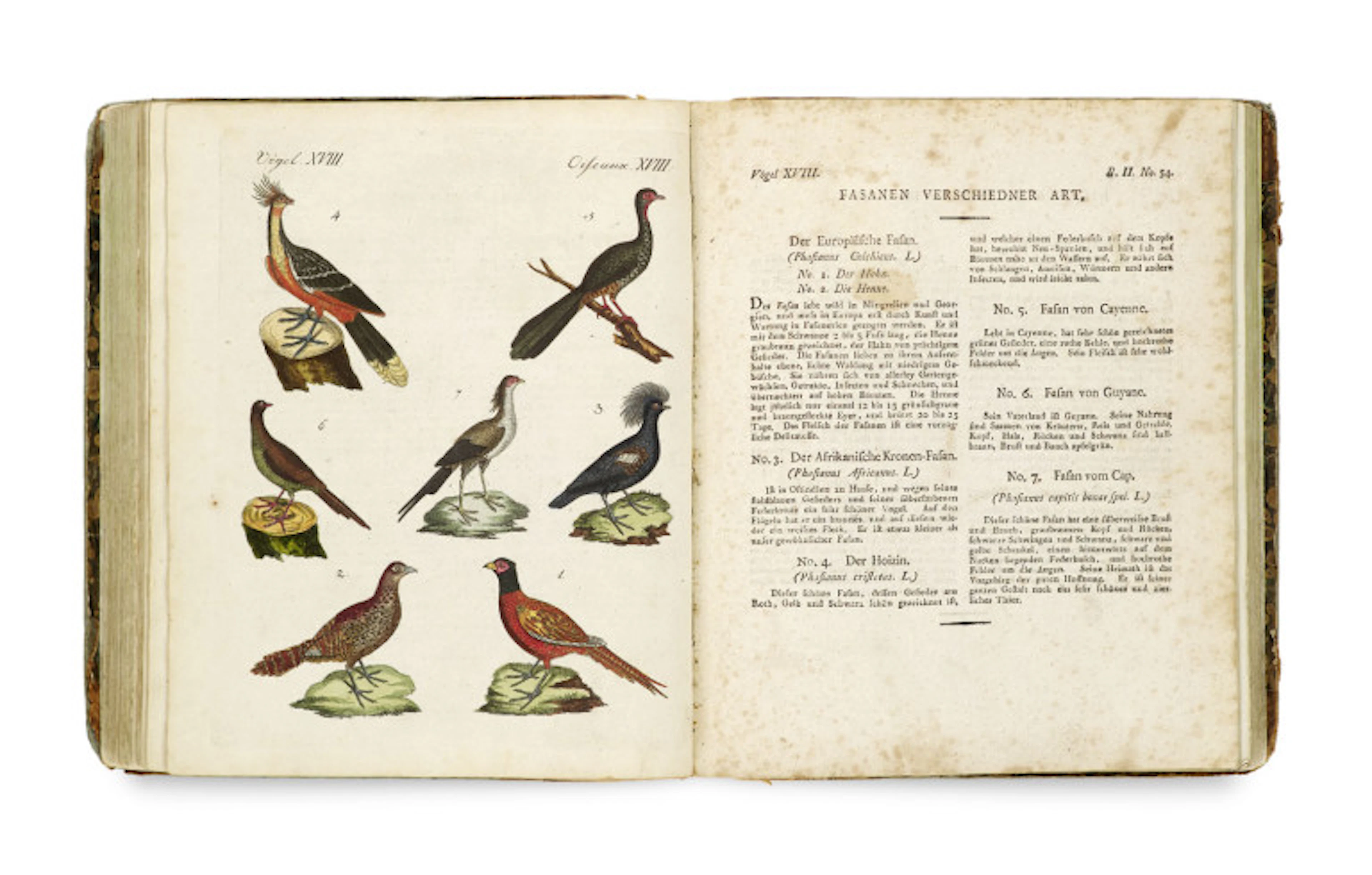 Friedrich Justin Bertuch. Bilderbuch für Kinder, (Bd. …