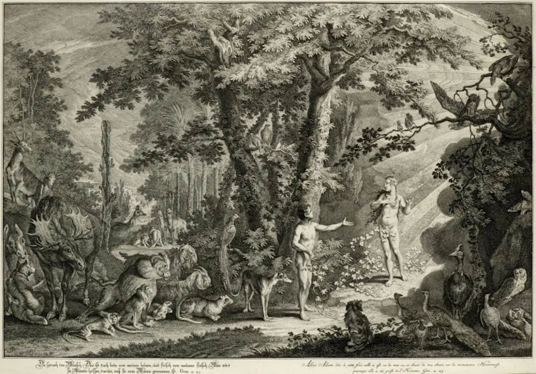 Johann Elias Ridinger. 3 Darstellungen aus "Das …