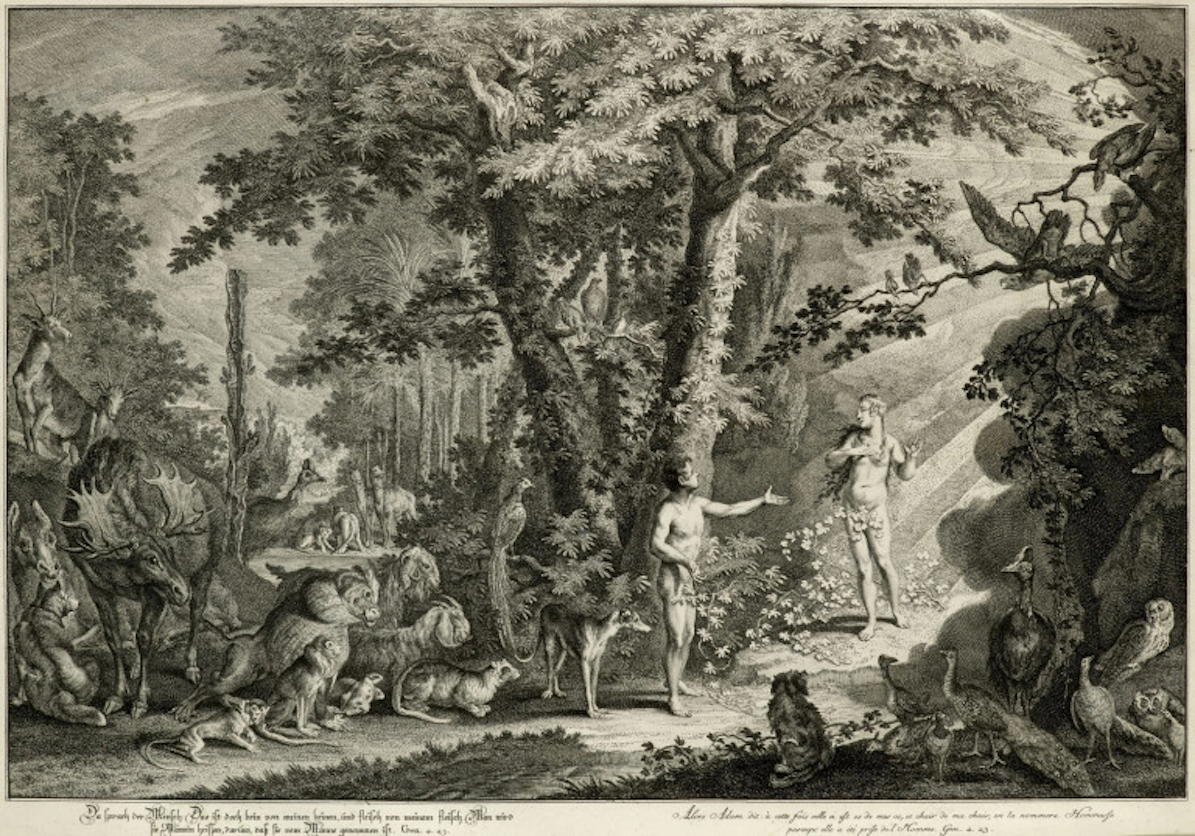 Johann Elias Ridinger. 3 Darstellungen aus "Das …