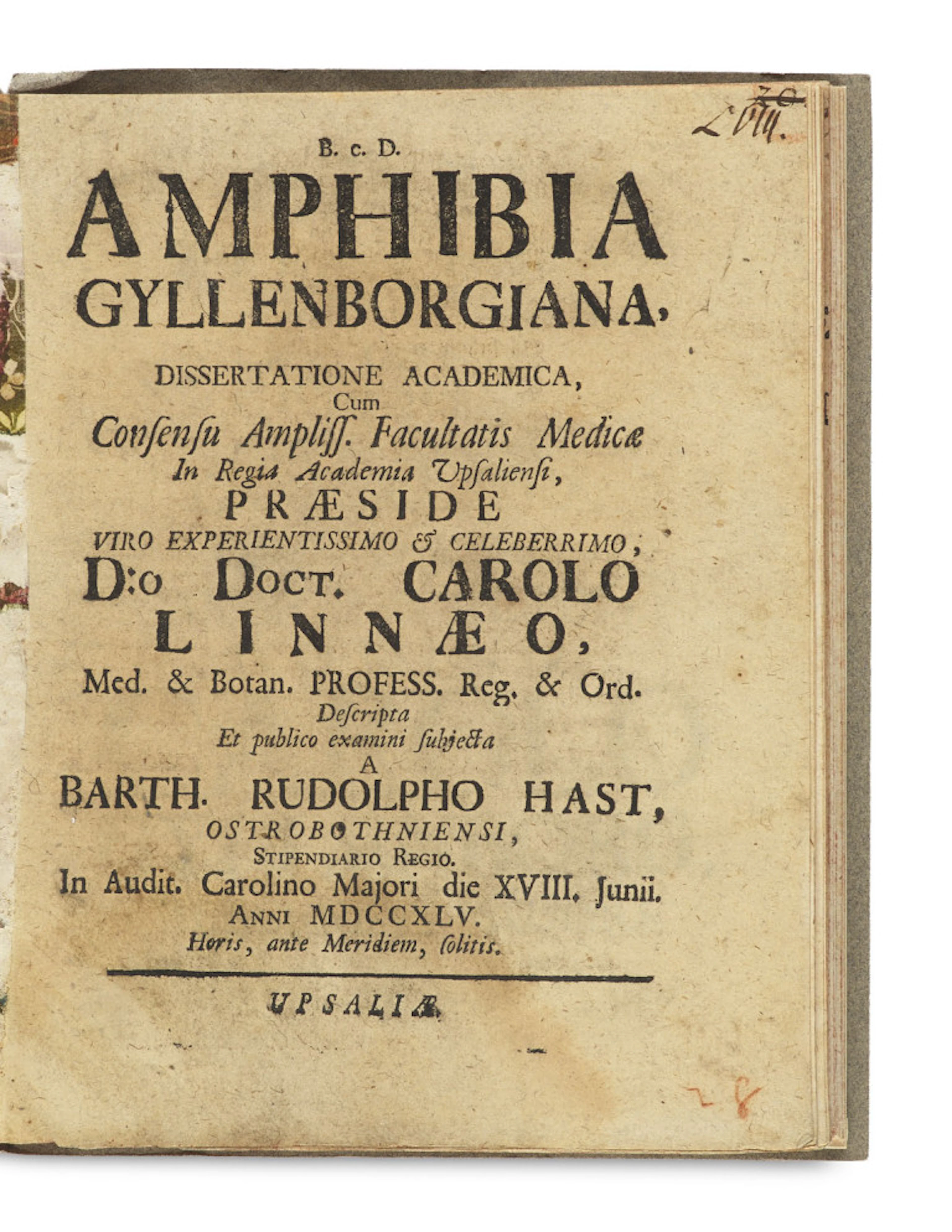 Carl von Linné. Amphibia Gyllenborgiana. …