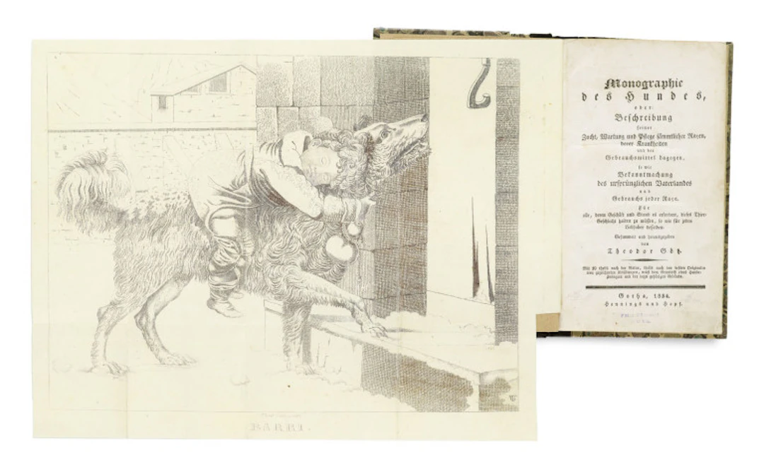 Theodor Götz (Hg.). Monographie des Hundes, oder …