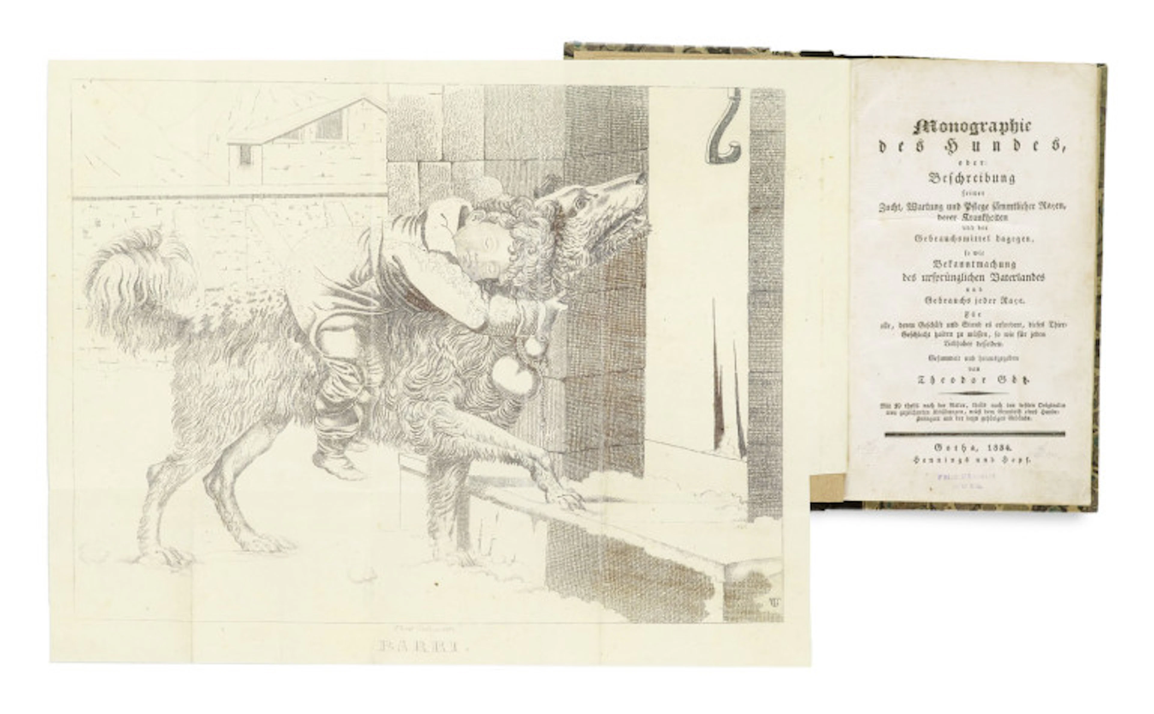 Theodor Götz (Hg.). Monographie des Hundes, oder …