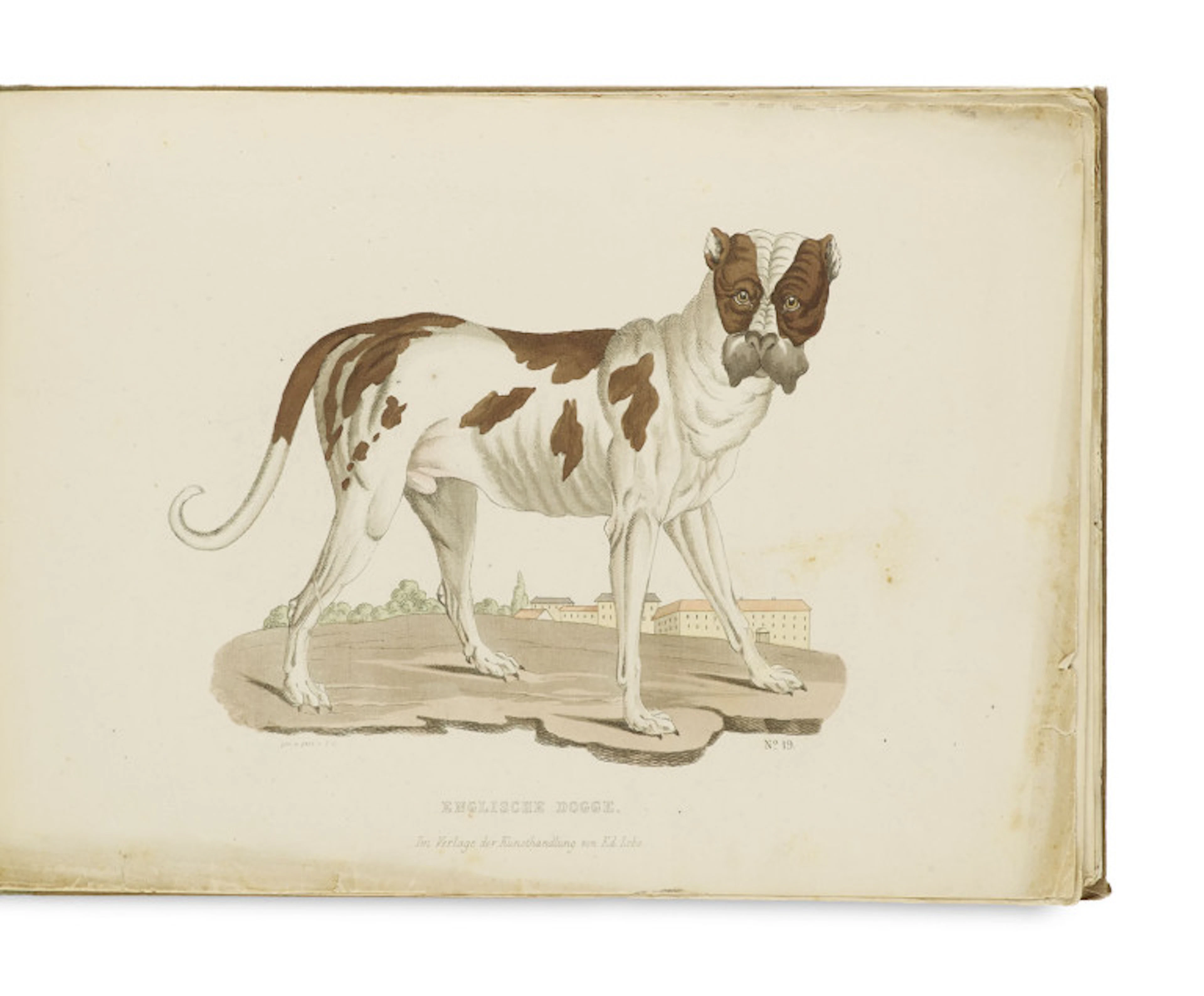 Theodor Götz (Hg.). Hunde-Gallerie oder …