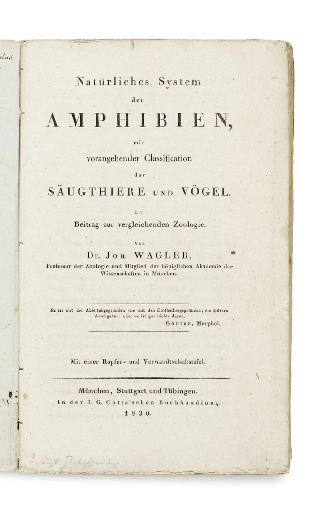Johann Georg Wagler. Natürliches System der …