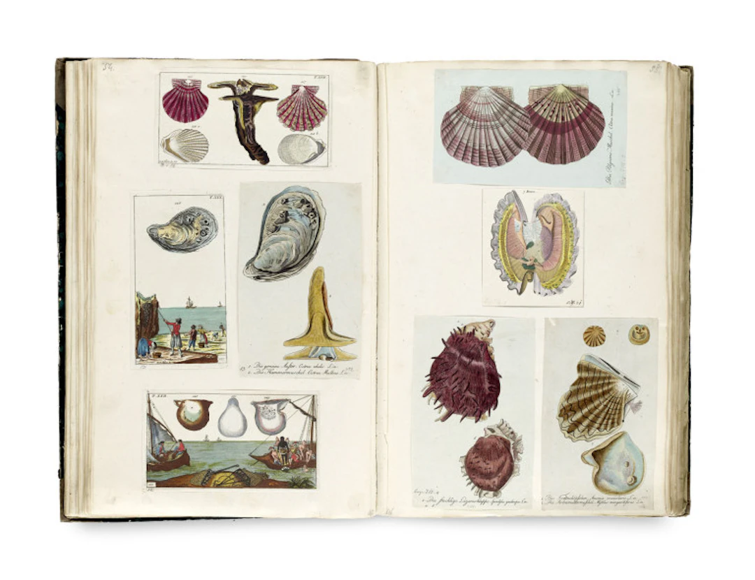 Scrapbook mit Illustrationen …