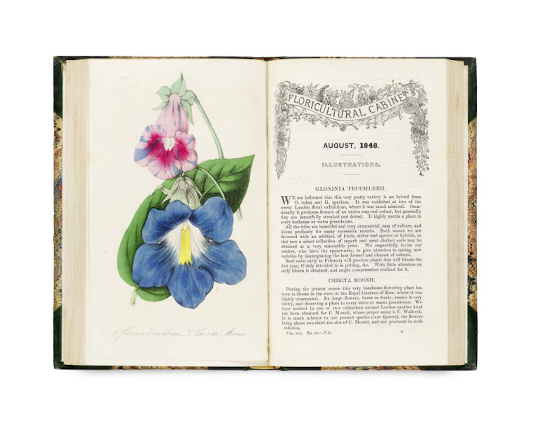 Joseph Harrison. The Floricultural Cabinet and …