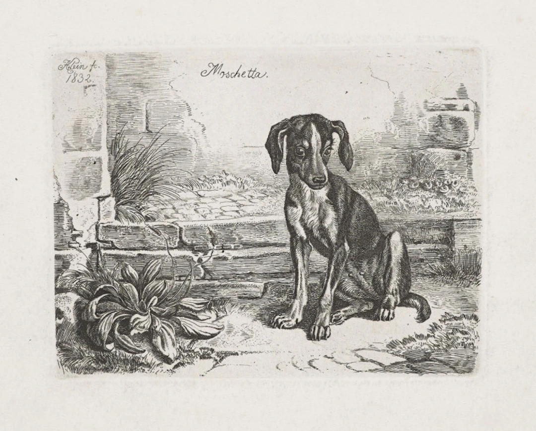 Johann Adam Klein. Sammlung von vier Radierungen …