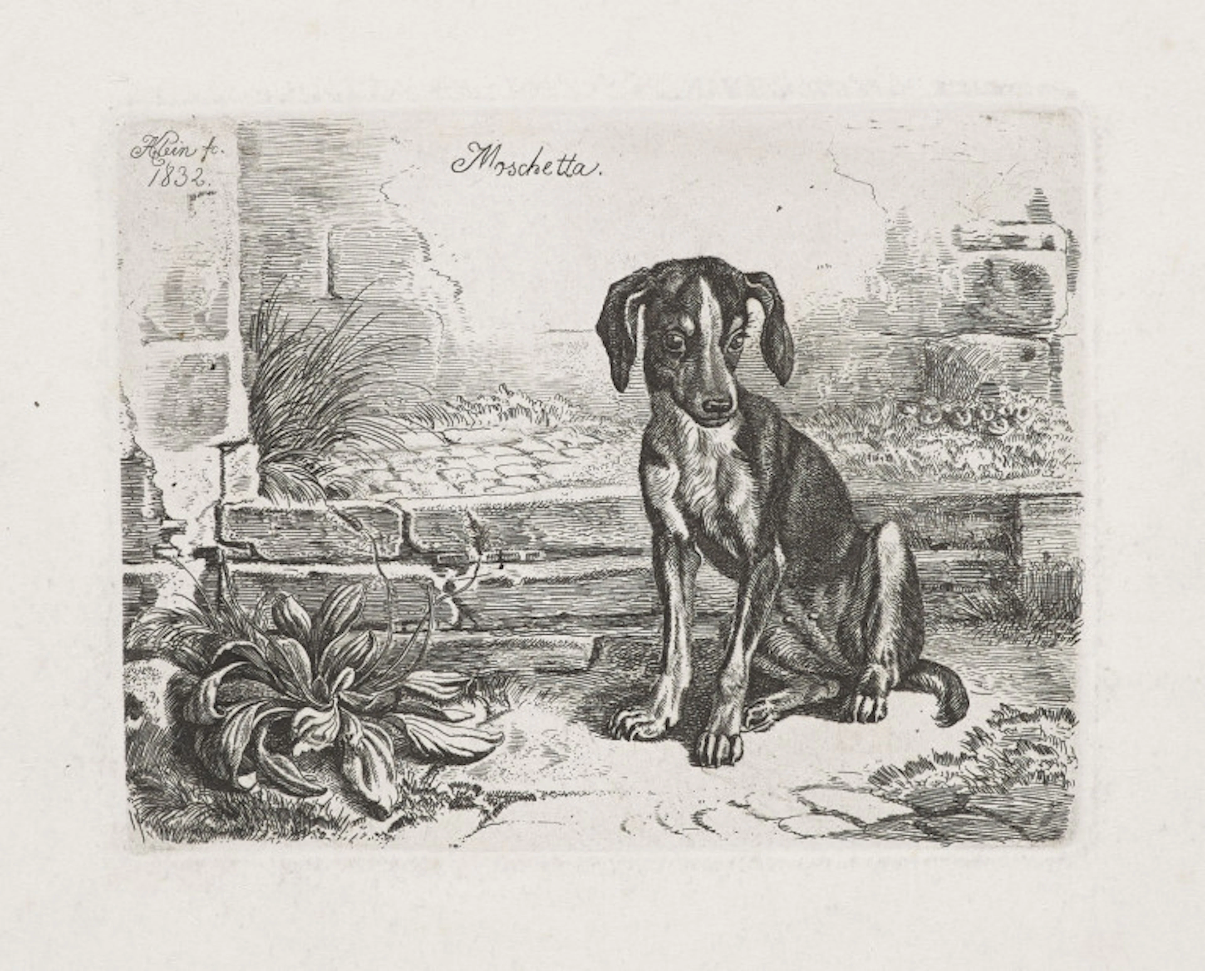 Johann Adam Klein. Sammlung von vier Radierungen …
