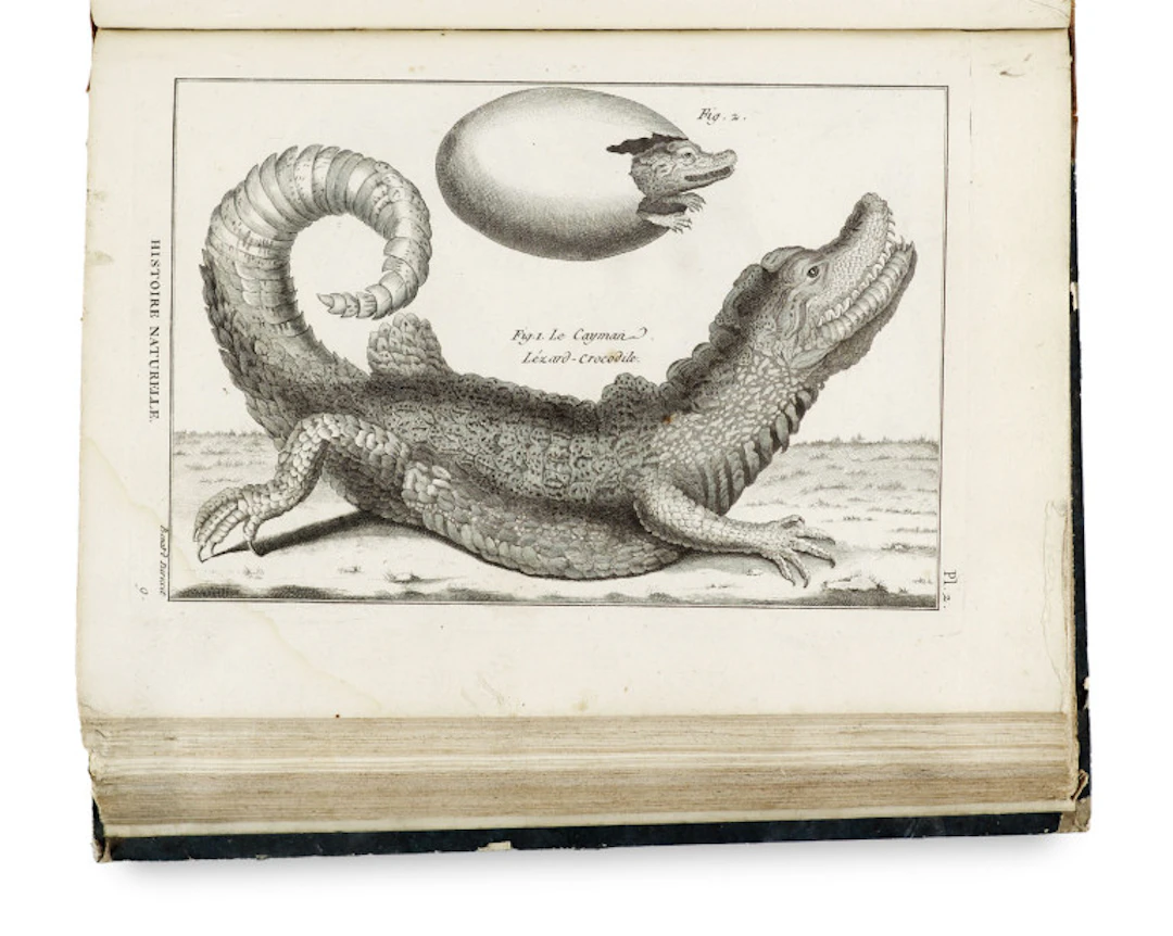 Pierre-Joseph Bonaterre. Tableau encyclopédique et …