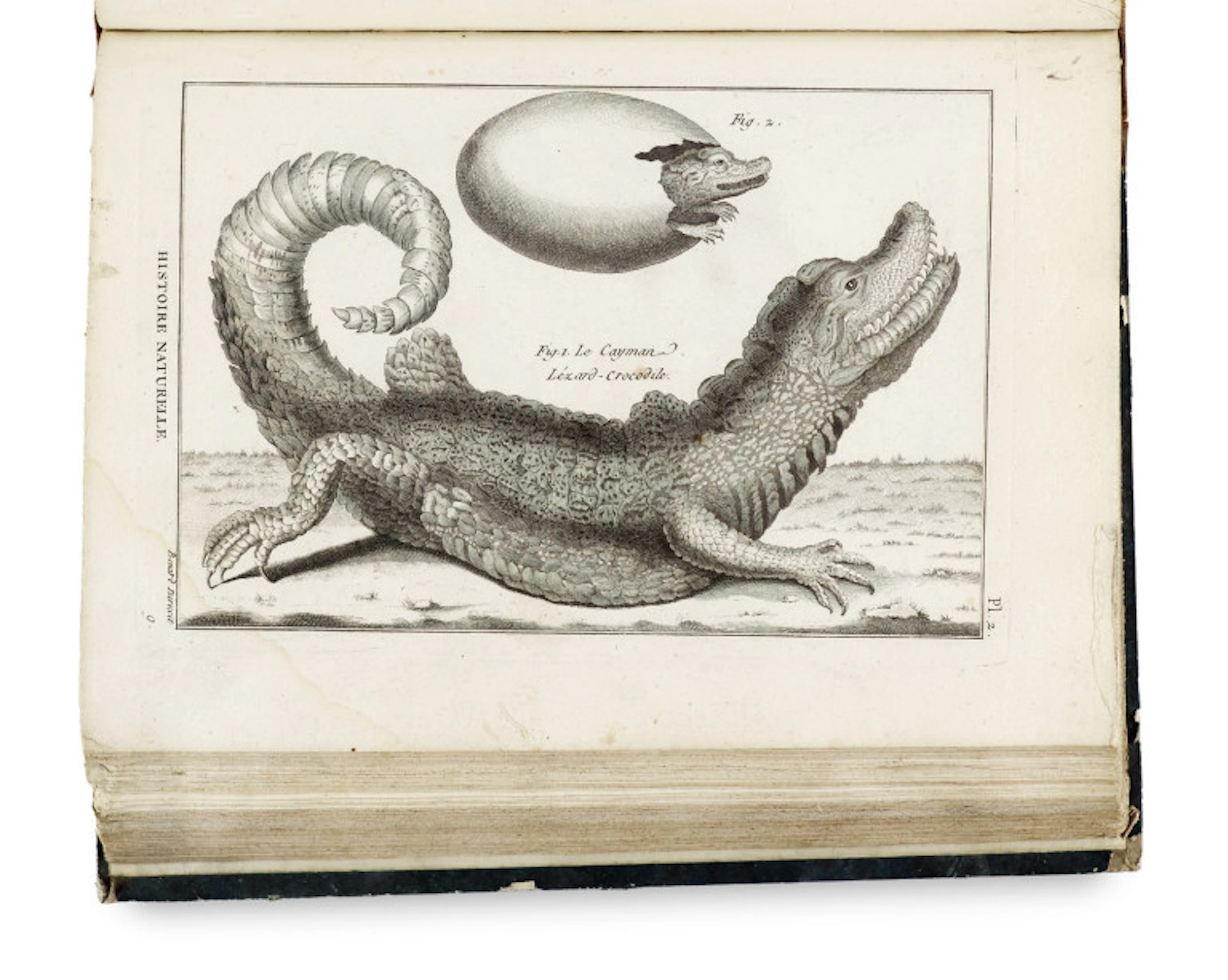 Pierre-Joseph Bonaterre. Tableau encyclopédique et …