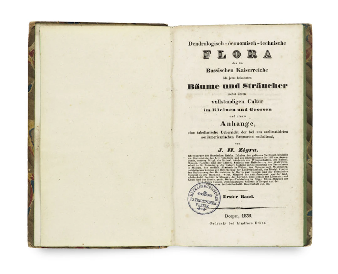 Johann Herrmann Zigra. …