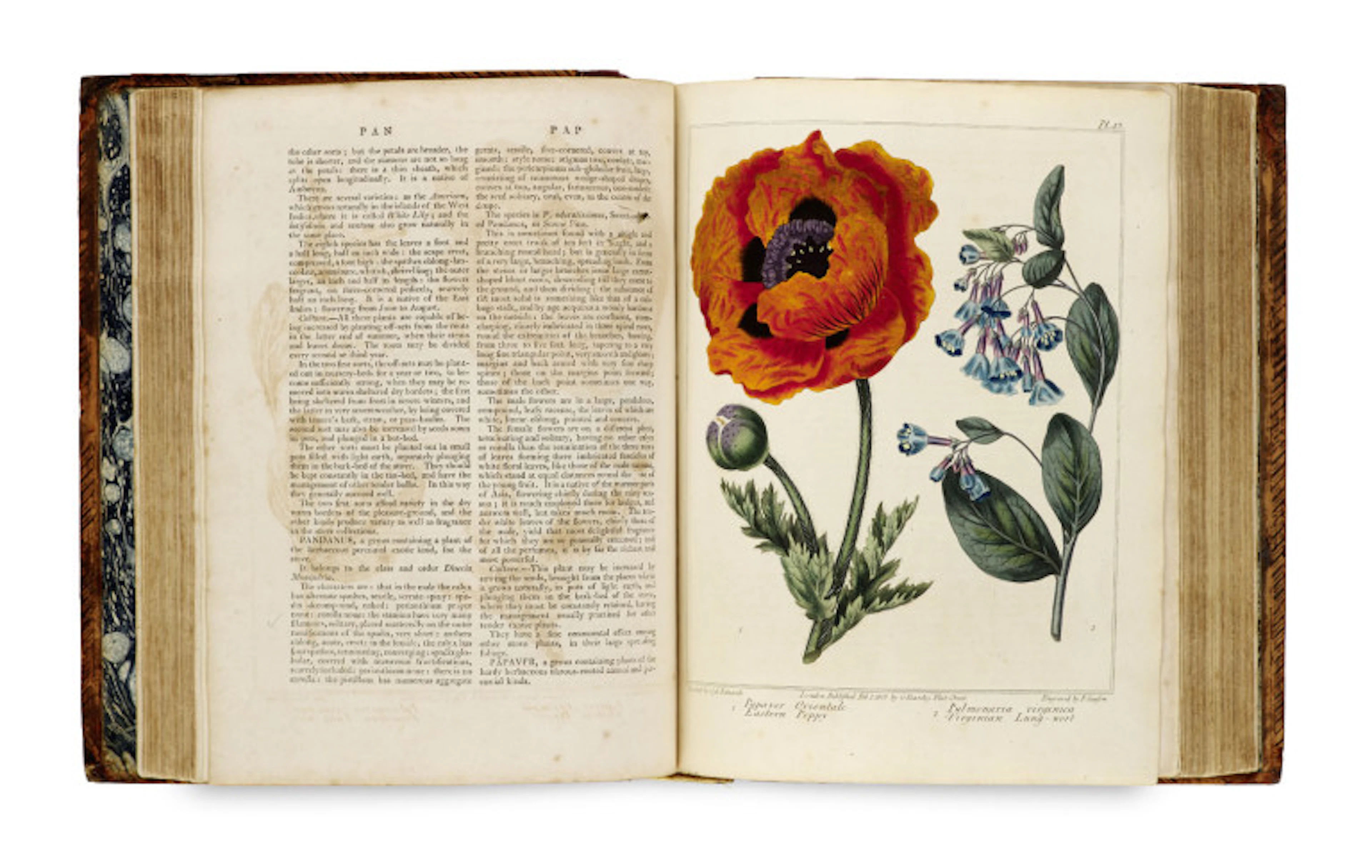 R.W. (Pseud. Mcdonald, Alex) Dickson. A complete dictionary of …