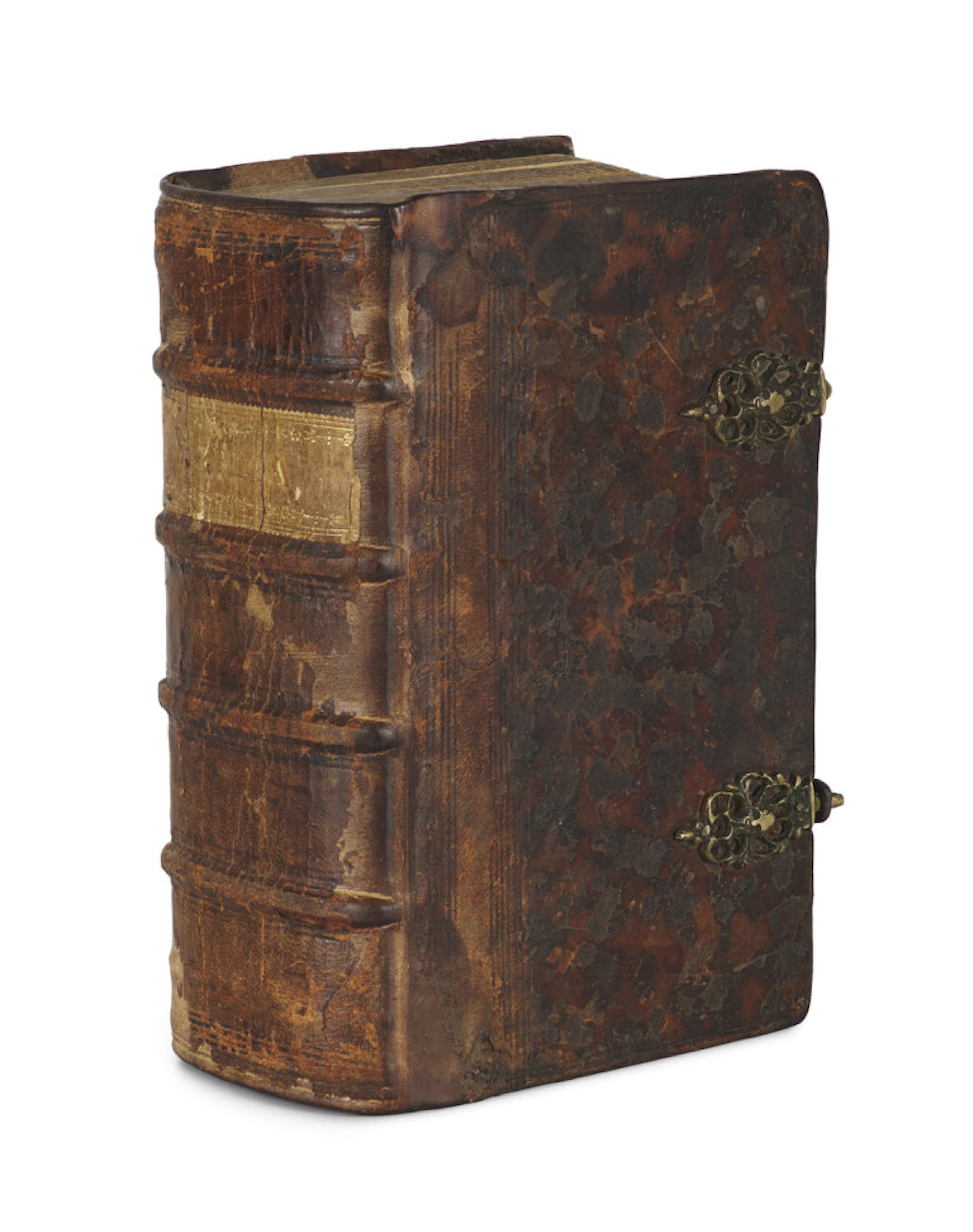 Biblia, Das ist: Die gantze …