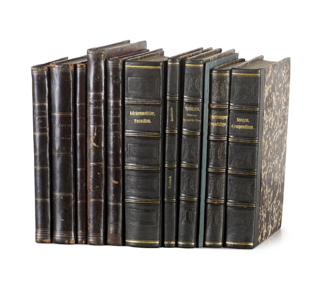 Umfangreiche Sammlung von 11 …