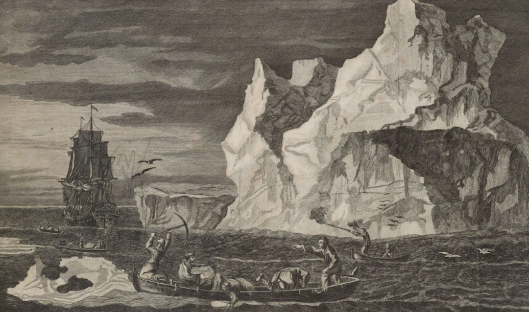 James Cook. Voyage dans l'hémisphère …