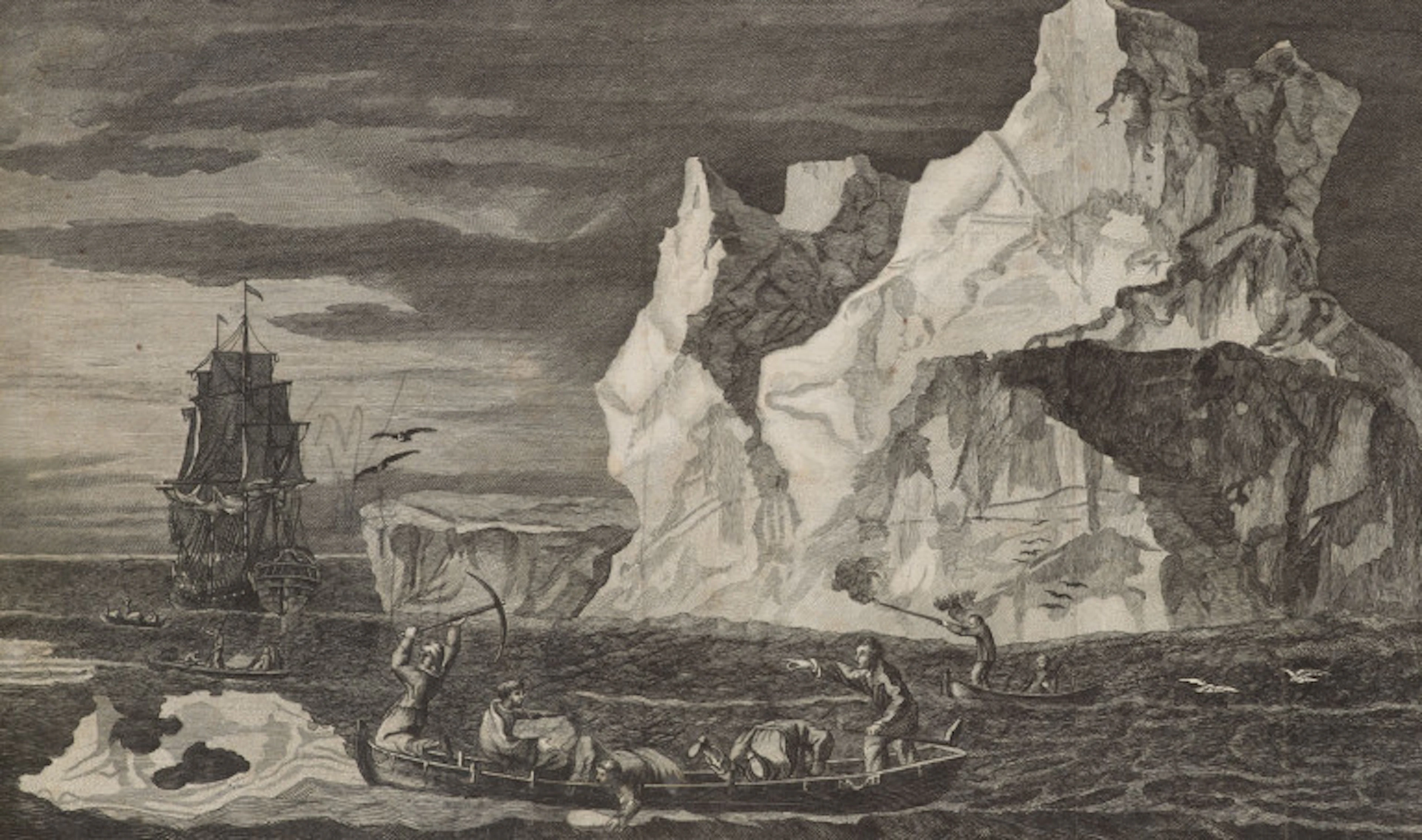 James Cook. Voyage dans l'hémisphère …