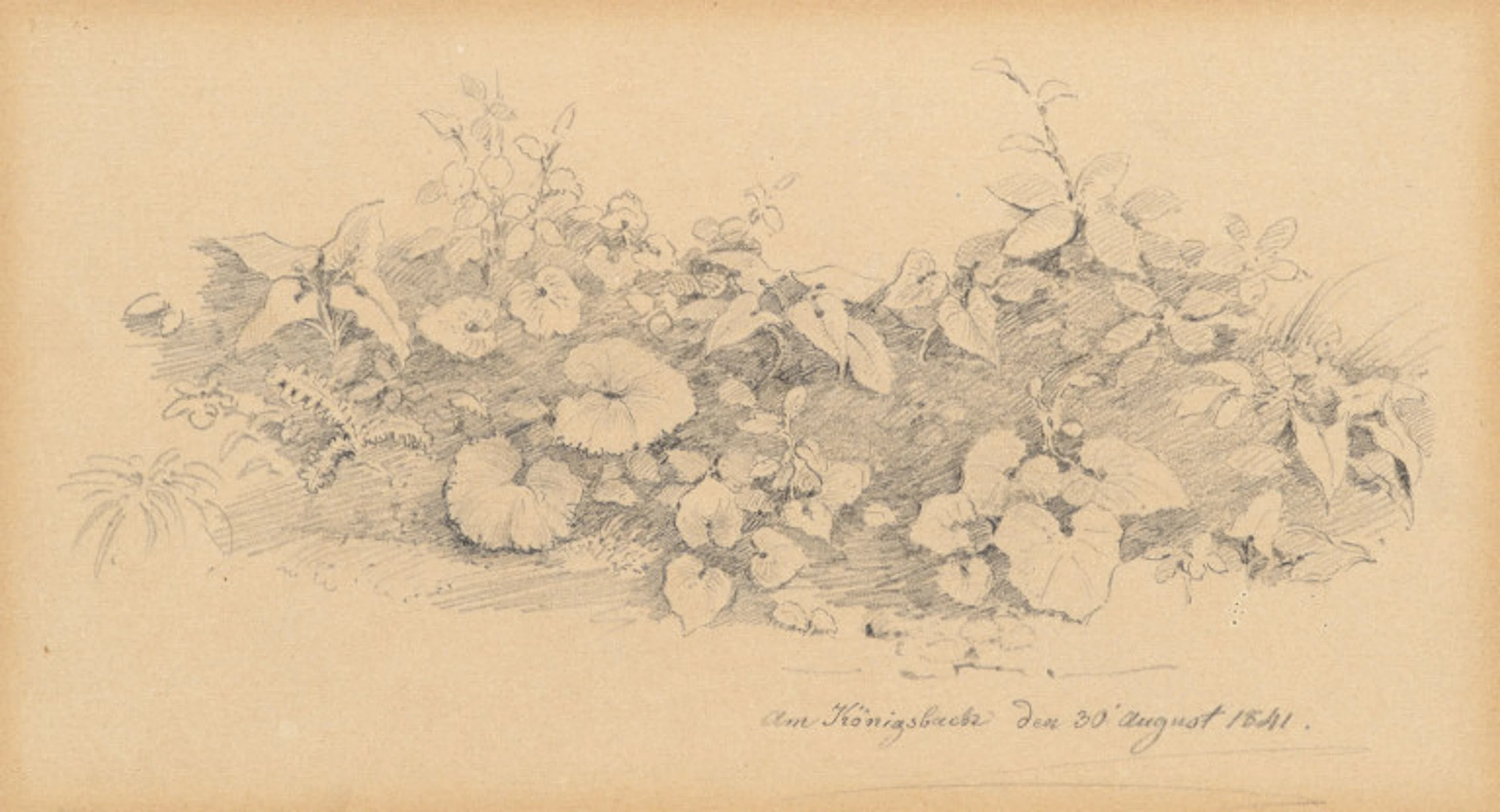 19. Jahrhundert Deutsch. Album Amicorum. 1841. …