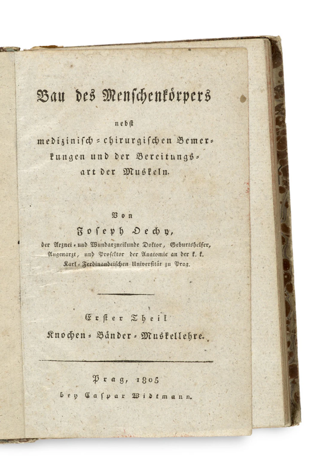 Joseph Anton Oechy. Bau des Menschenkörpers nebst …