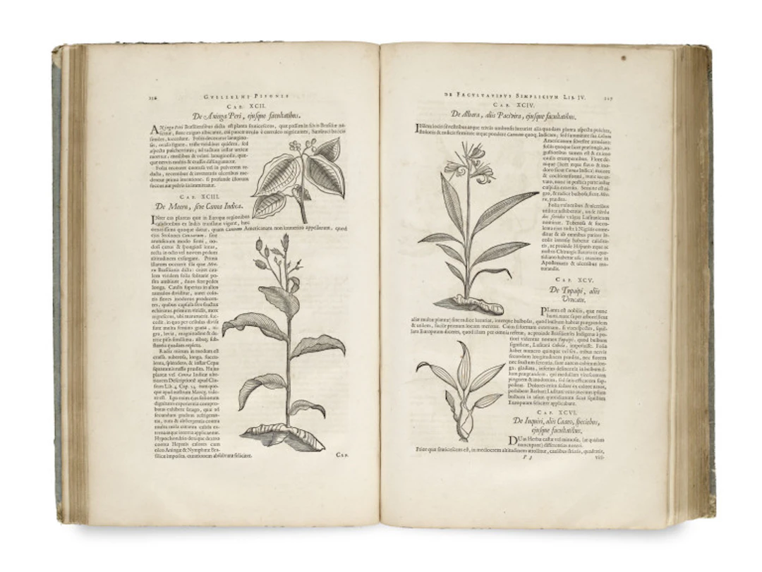 Willem u. Georg Markgraf Piso. Historia naturalis Brasiliae, …