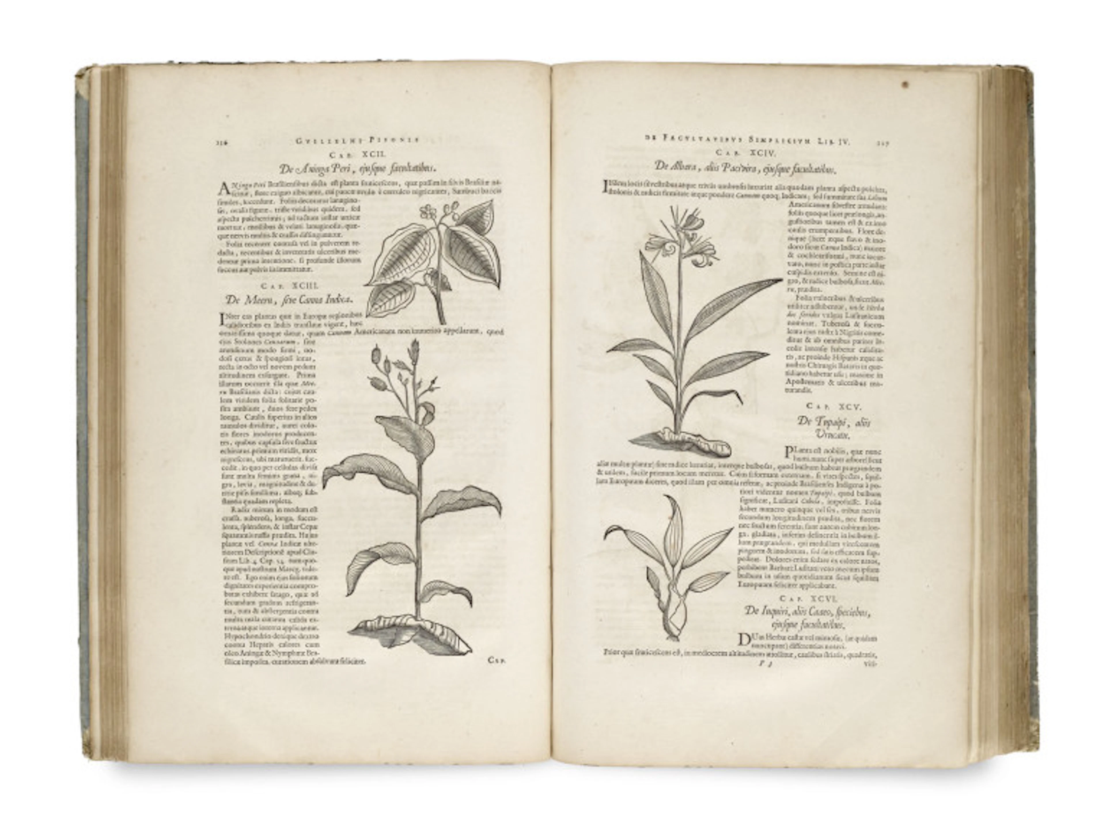 Willem u. Georg Markgraf Piso. Historia naturalis Brasiliae, …