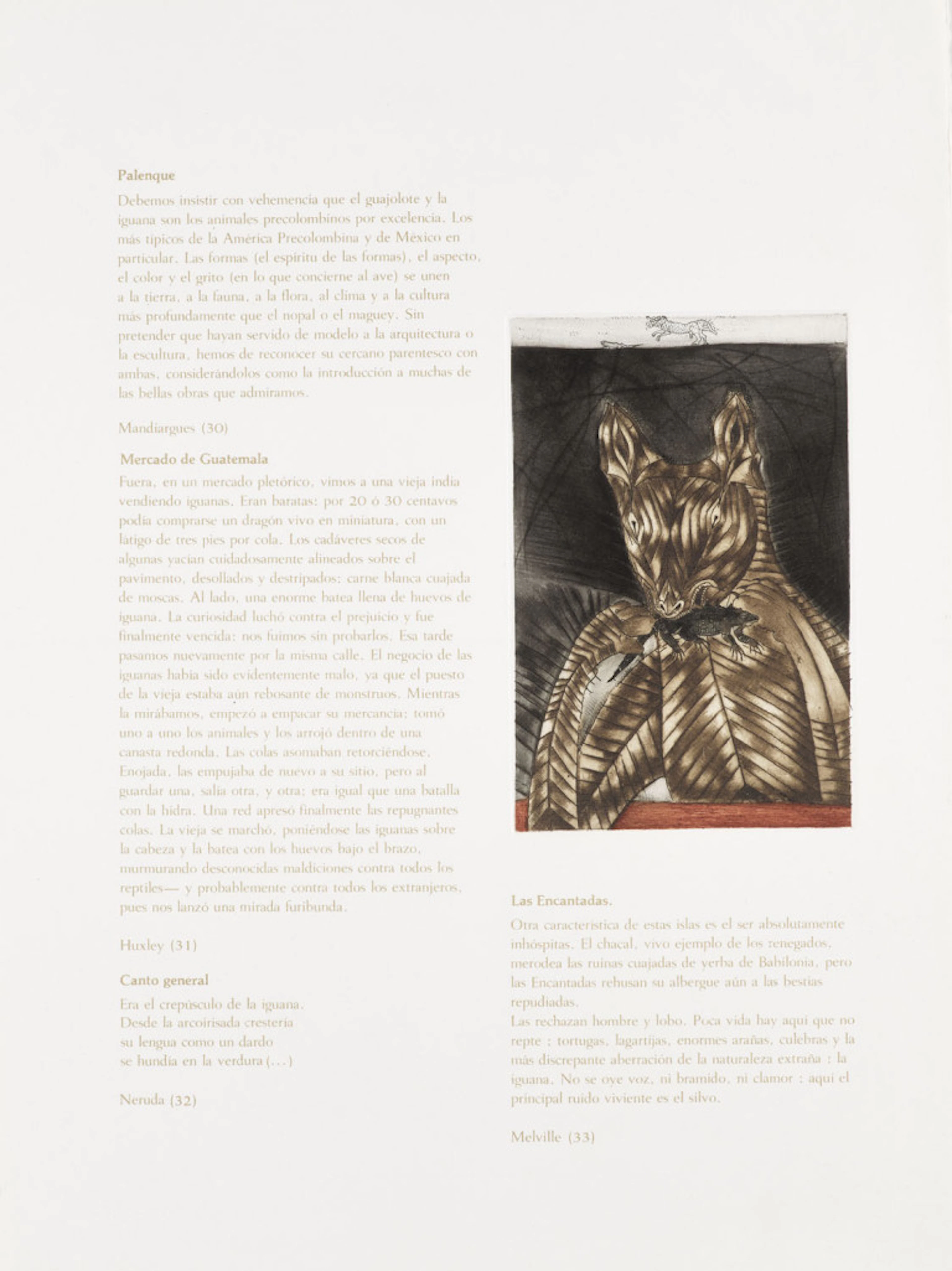 Francisco Toledo. Toledo/Guchachi. Mit 15 …