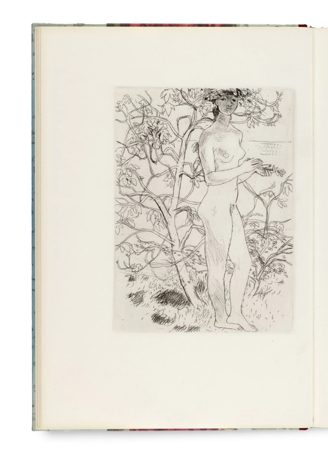 Lucius Apuleius. Amor und Psyche. Mit 25 …