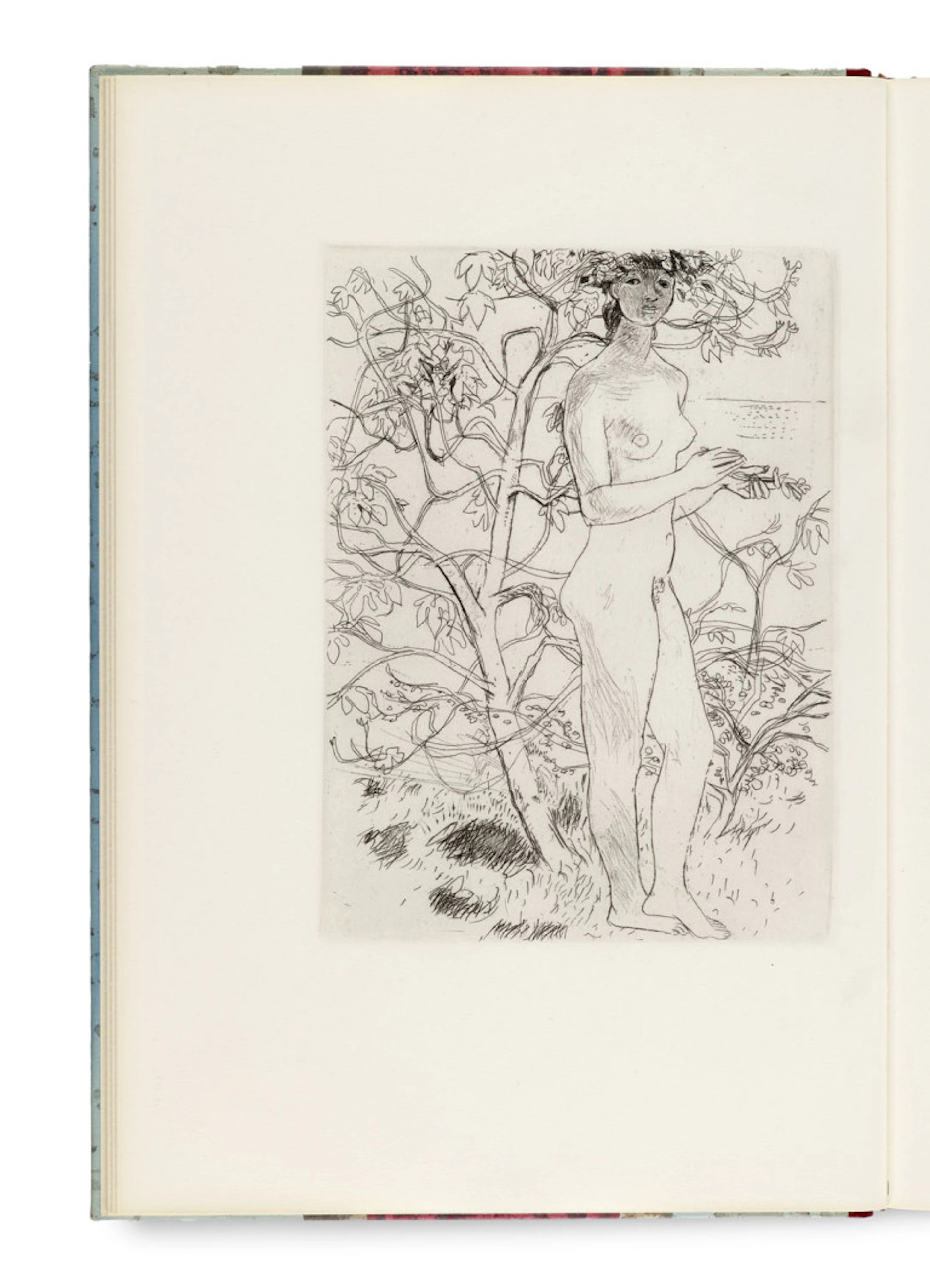 Lucius Apuleius. Amor und Psyche. Mit 25 …