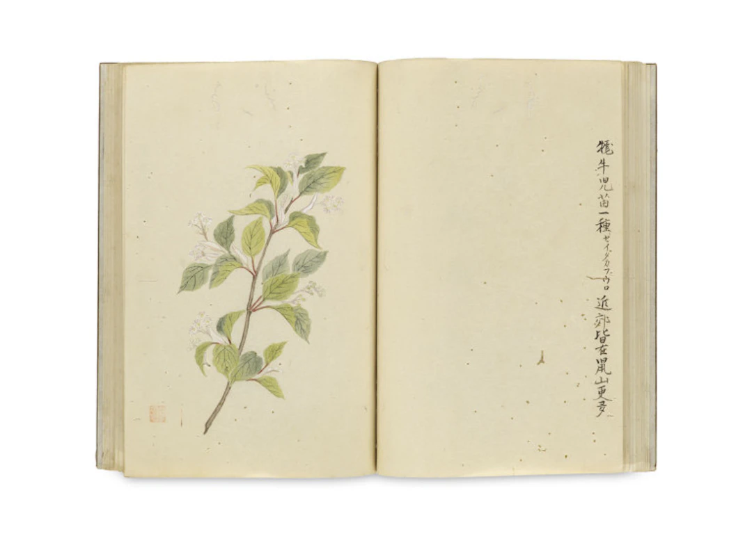 Japanisches Blockbuch mit …