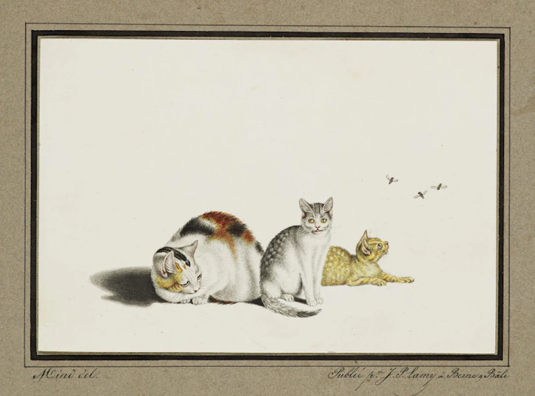 Gottfried Mind. 2 Arbeiten. Spielende Katzen. …