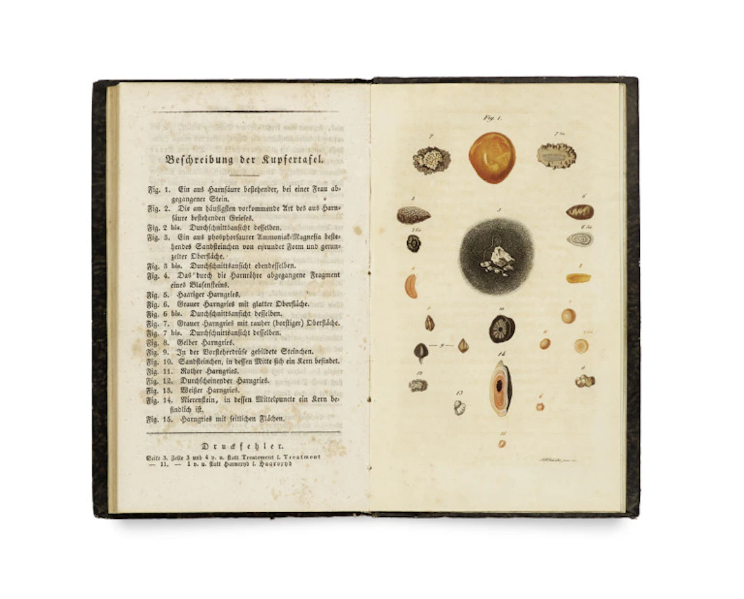 Francois Magendie. Physiologische und …