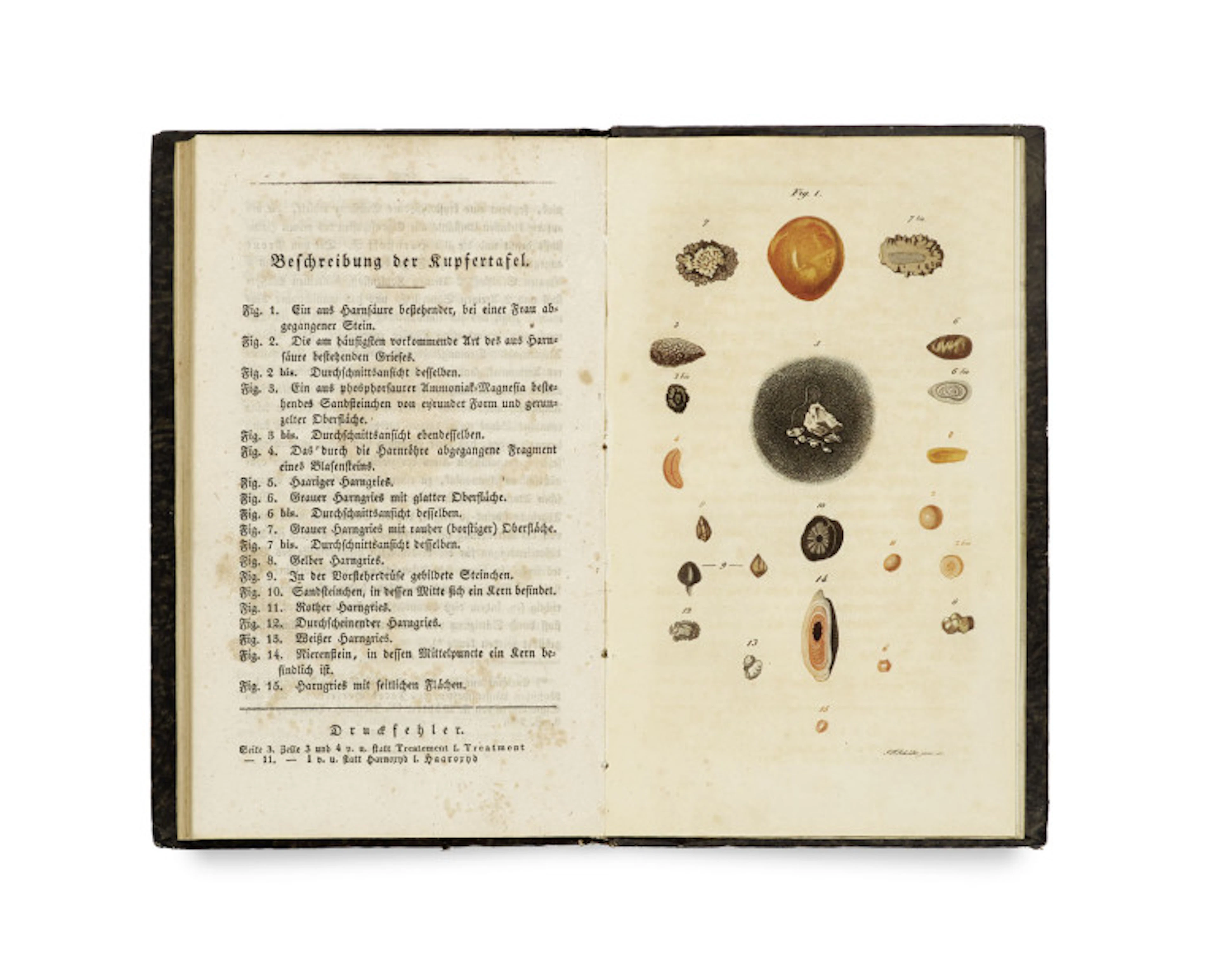 Francois Magendie. Physiologische und …