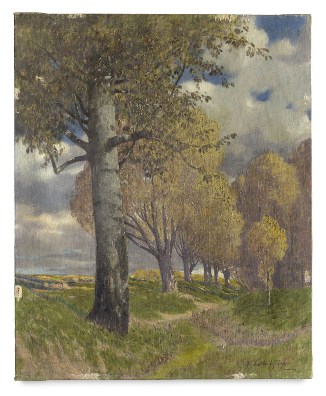Gustav Wilhelm Lautenschläger. Baumallee. Ca. 1910. Öl auf …