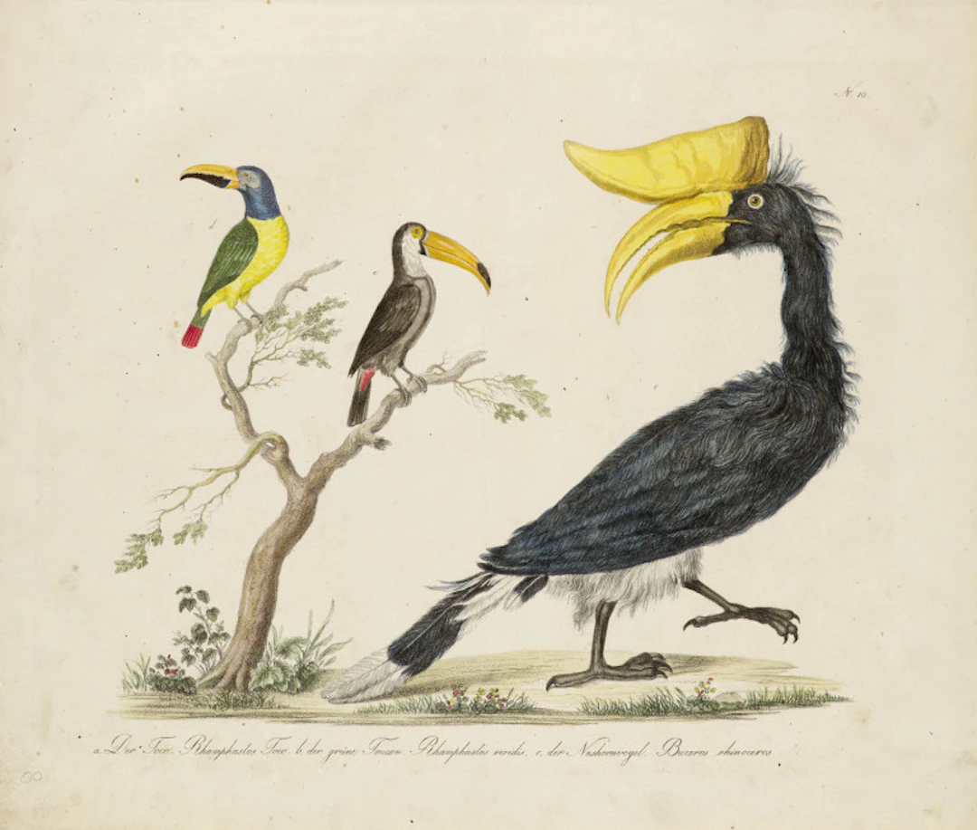 Joseph Brodtmann. Sammlung von 13 …