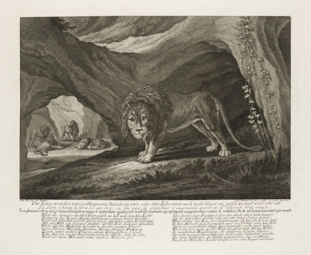 Umkreis Johann Elias Ridinger. Sammlung von 13 Darstellungen …