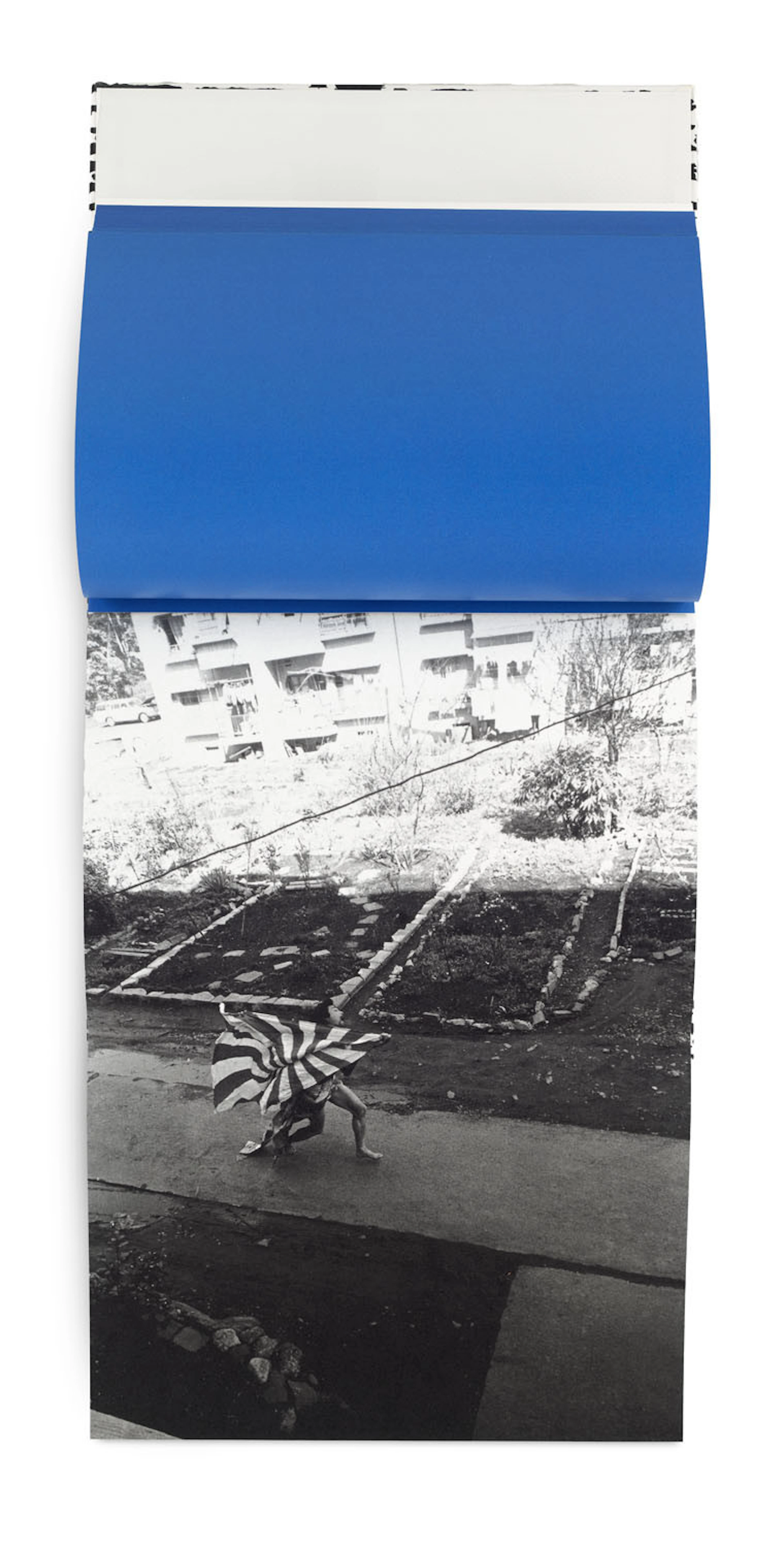 Eikoh Hosoe. Kamaitachi. New York, …