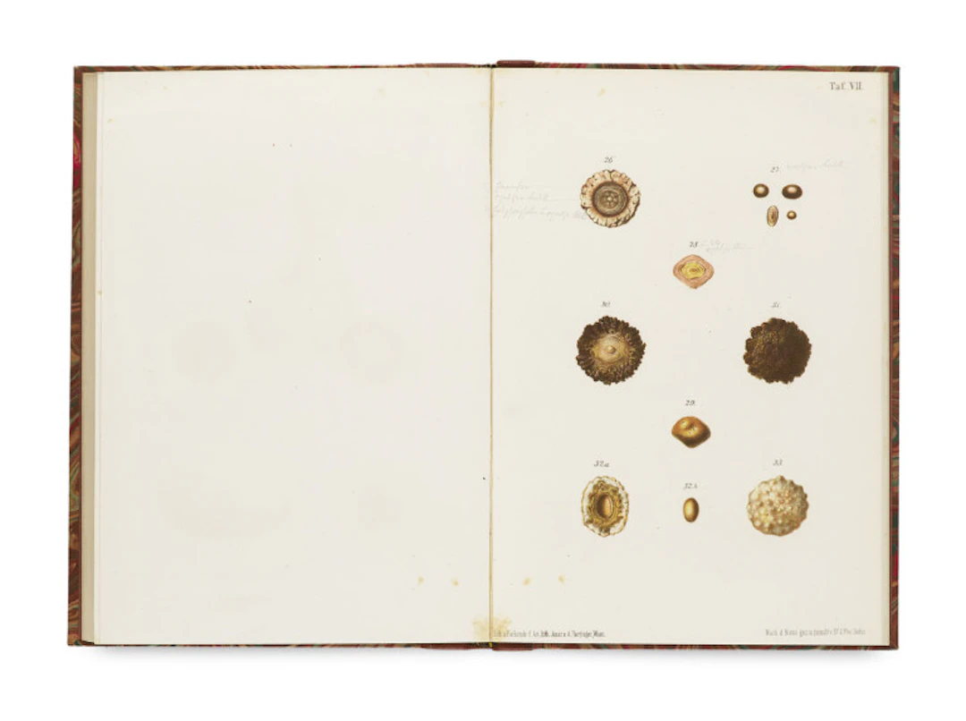 Johann Florian Heller. Die Harnconcretionen, ihre …