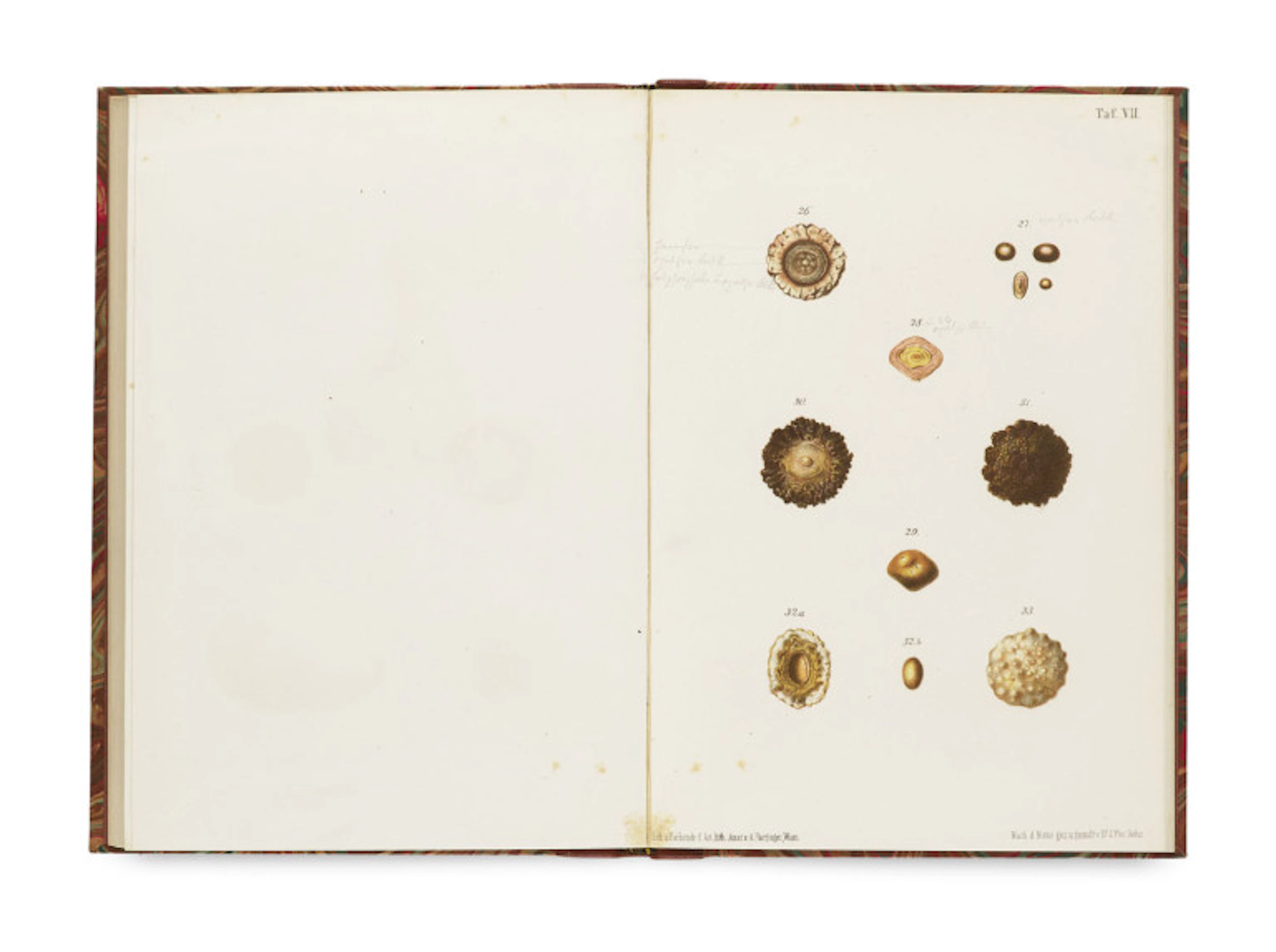 Johann Florian Heller. Die Harnconcretionen, ihre …