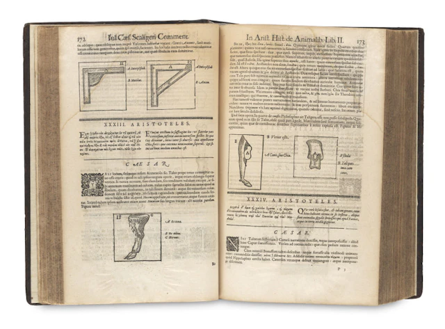 Aristoteles. Historia de Animalibus. Iulio …