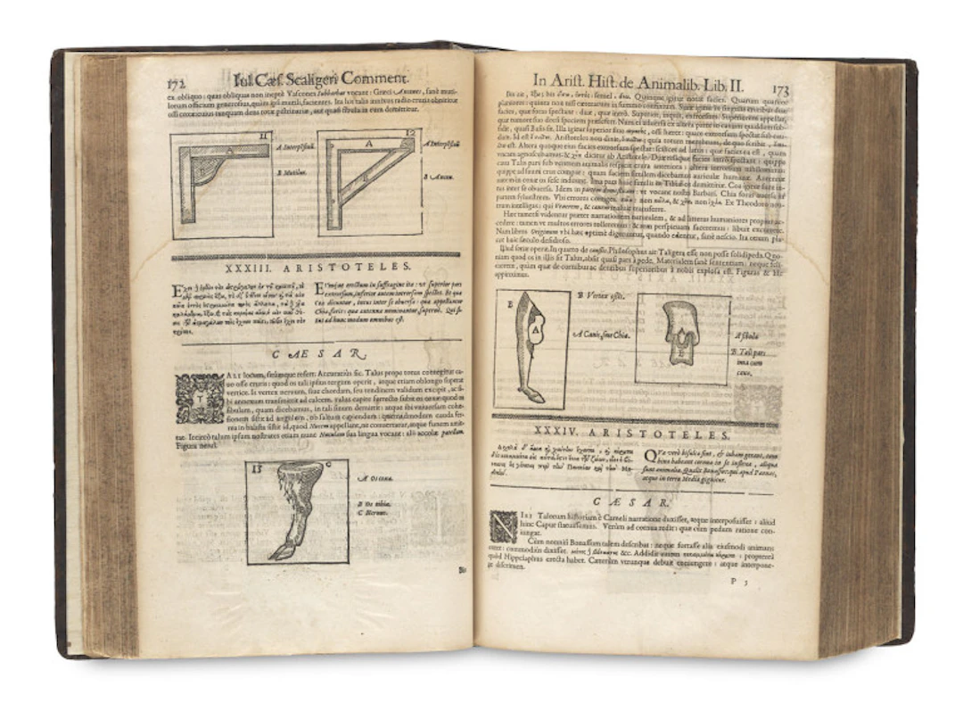 Aristoteles. Historia de Animalibus. Iulio …