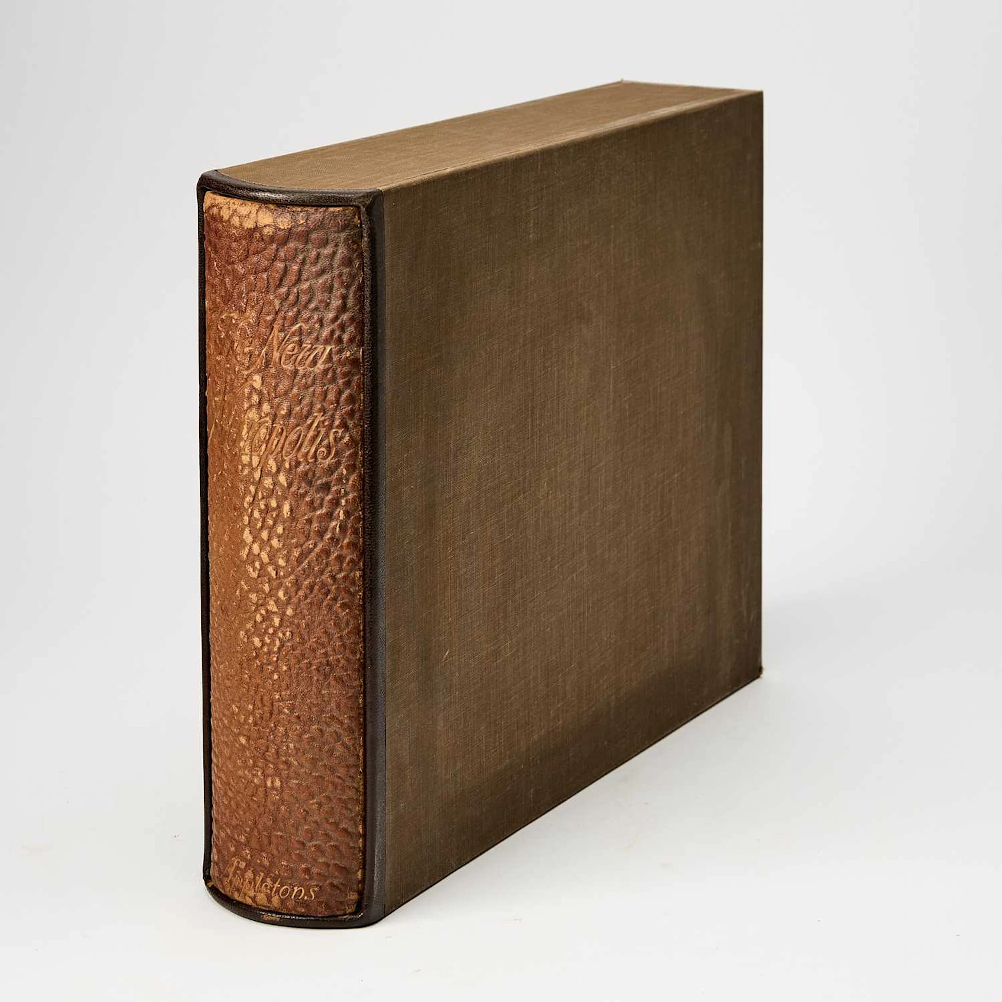An extensive library of New York City books