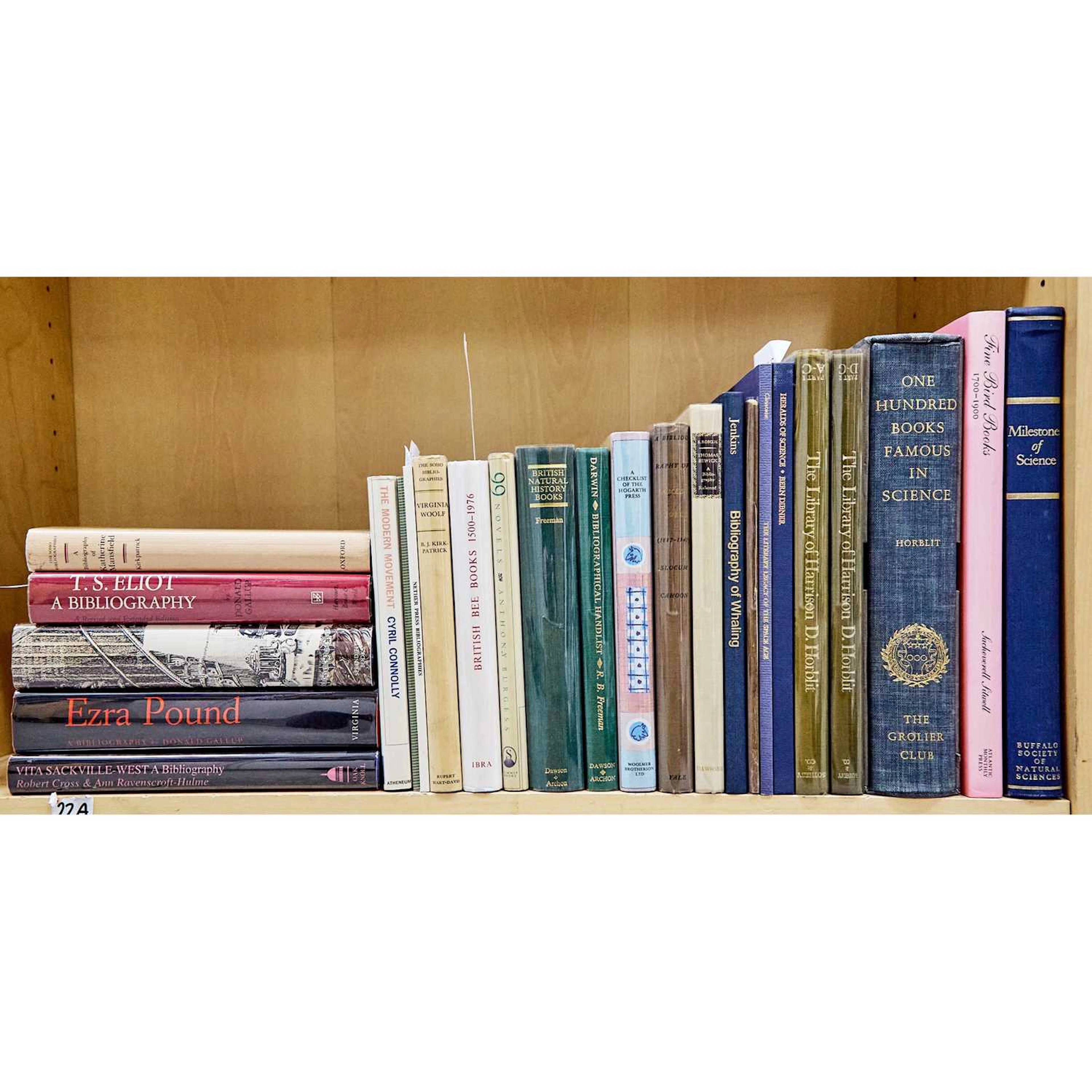 Bibliography - The Modern Movement