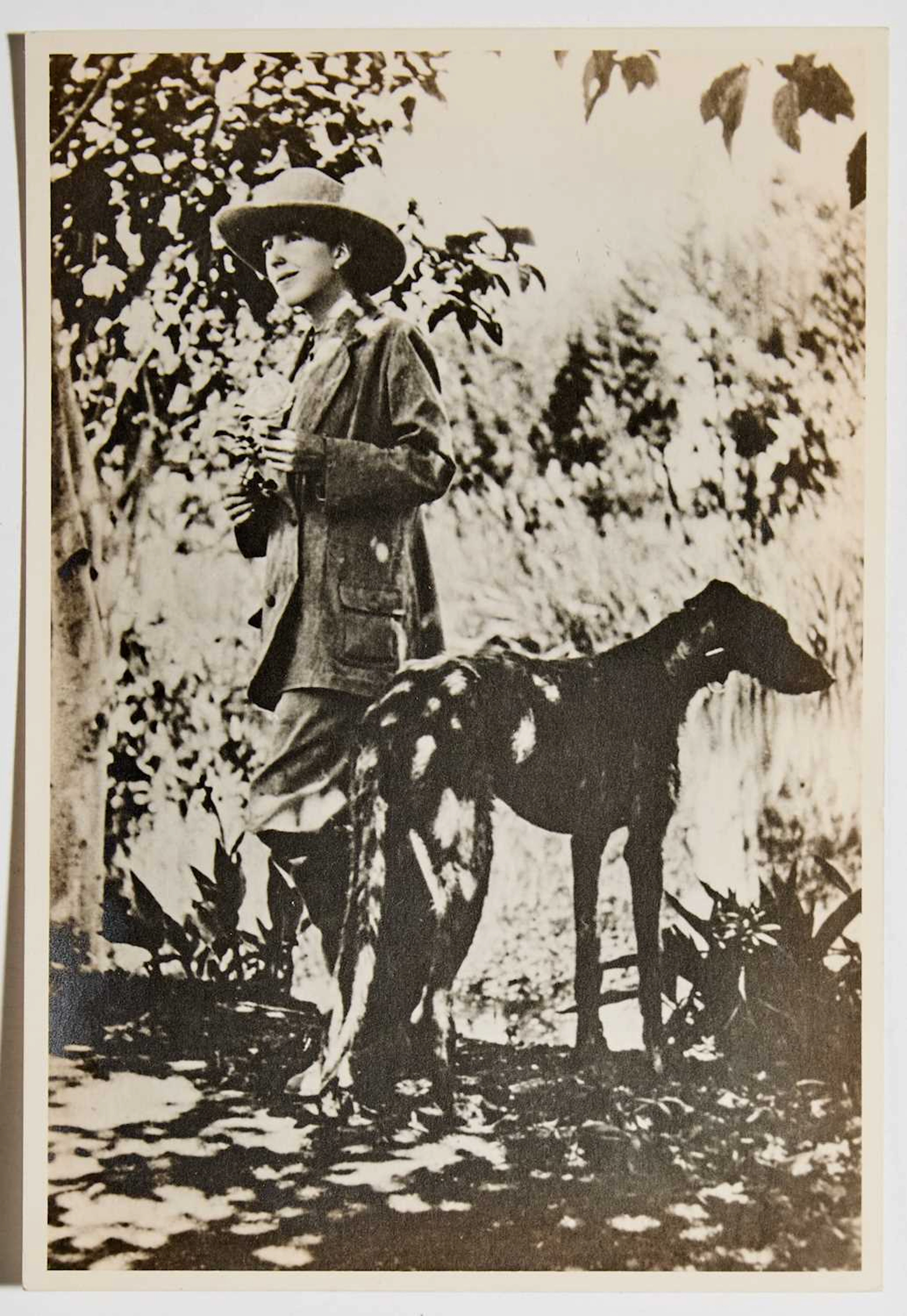 Karen Blixen [Isak Dinesen] Autograph letter signed, with photograph